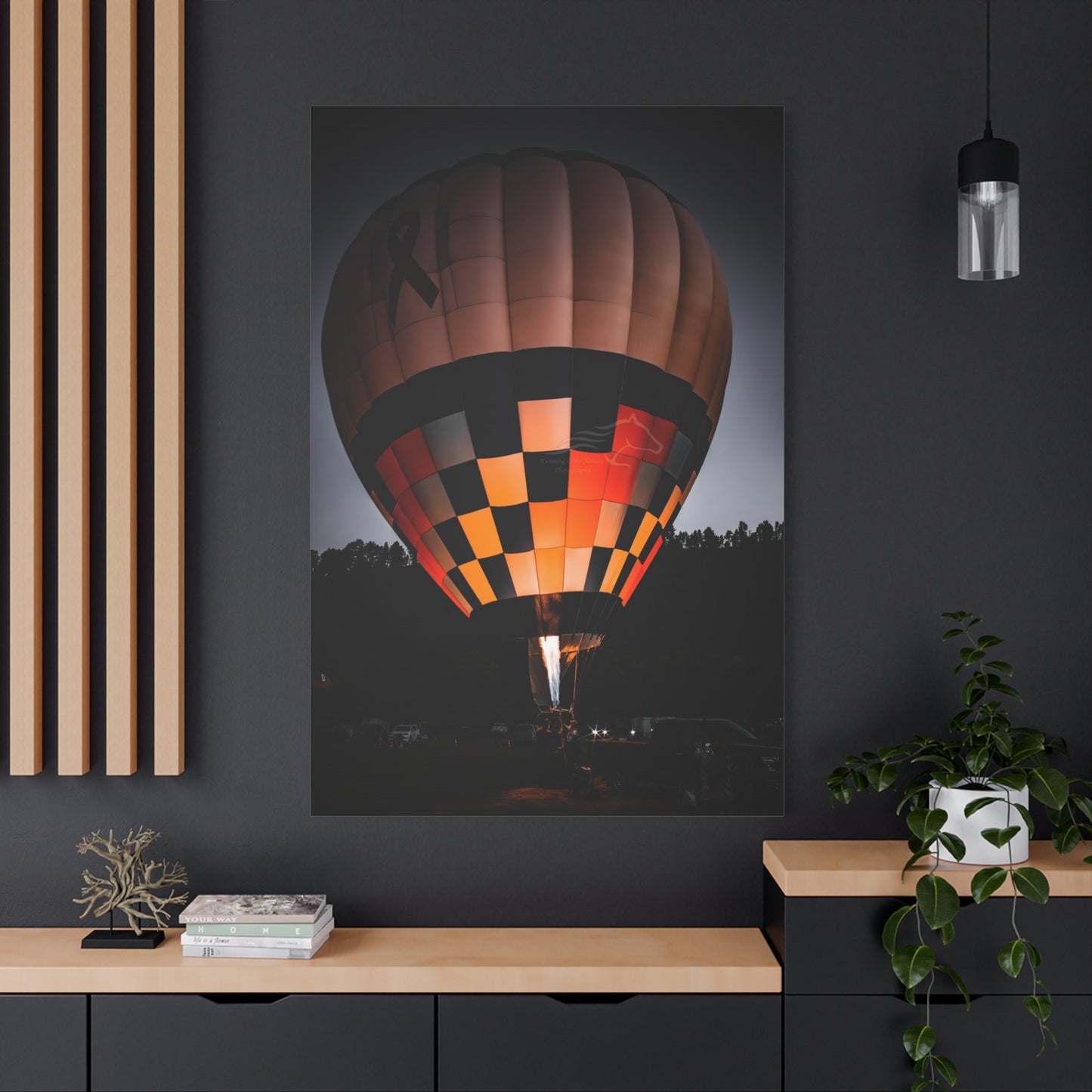 Hot Air Balloon Canvas