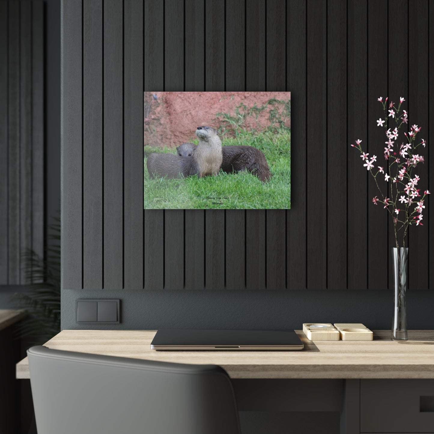 Otter Stare Acrylic Prints