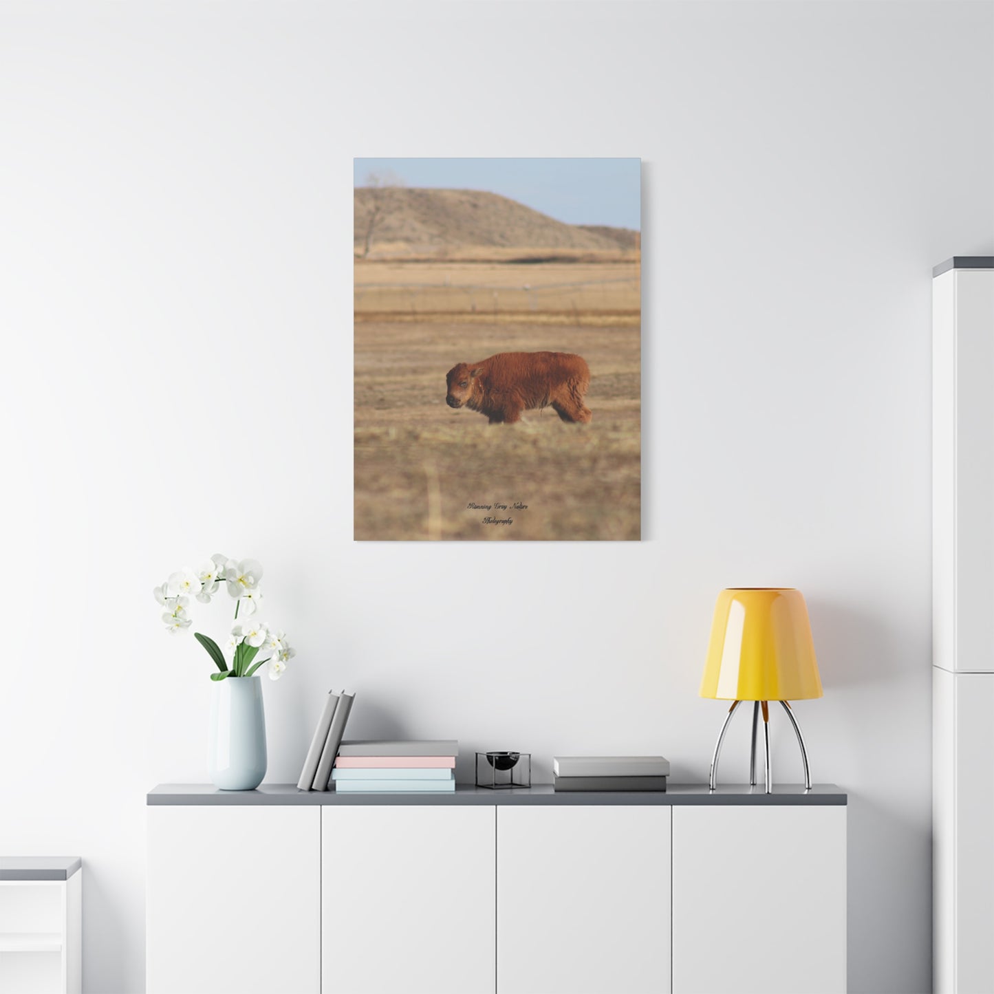 Baby Buffalo Matte Canvas, Stretched, 1.25"