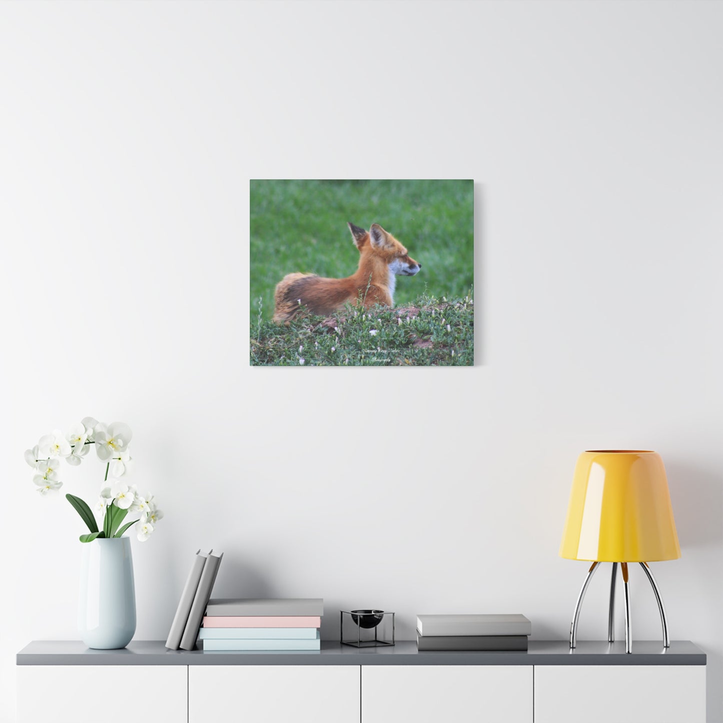 Red Tail Fox Matte Canvas, Stretched, 1.25"