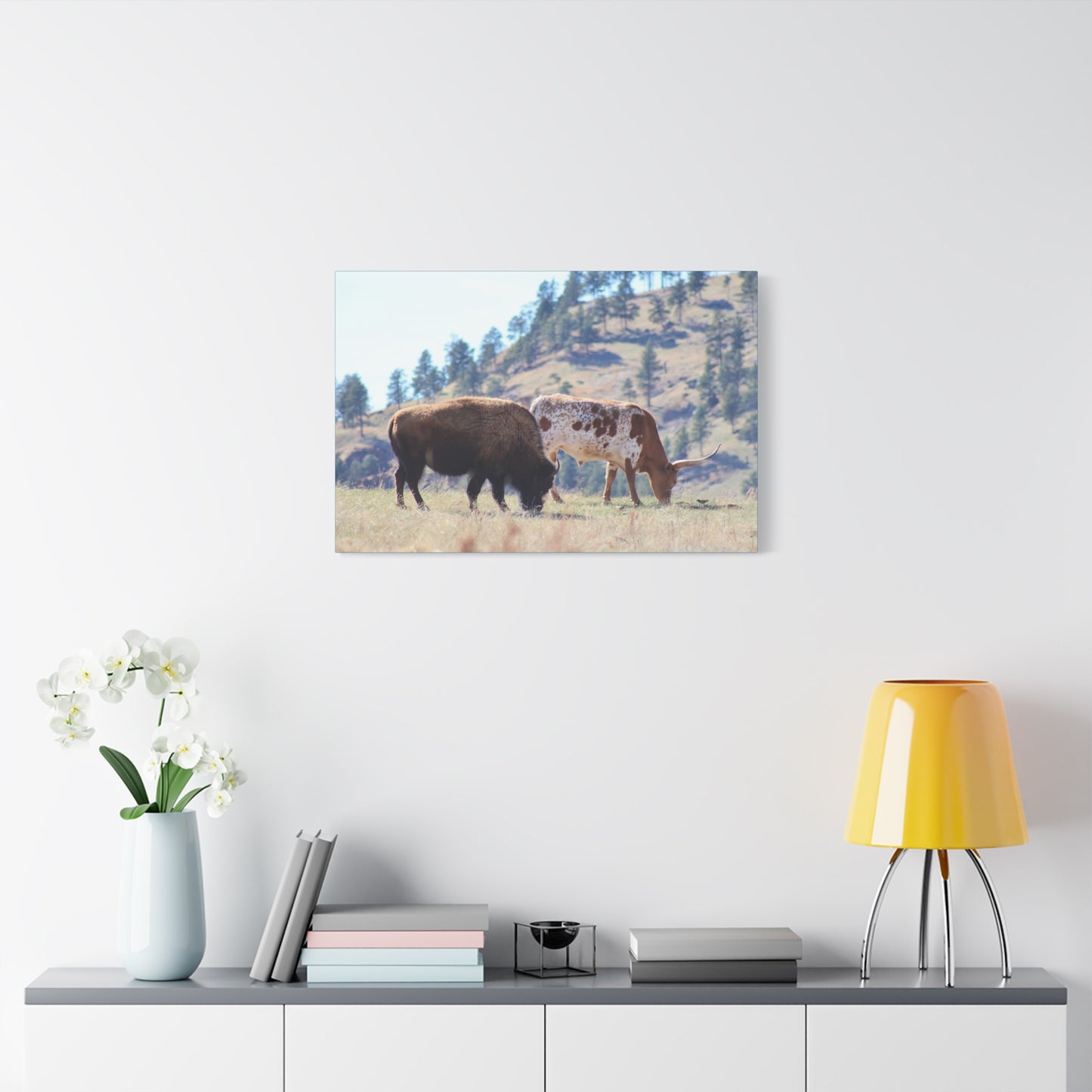 Long Horn and Buffalo Canvas
