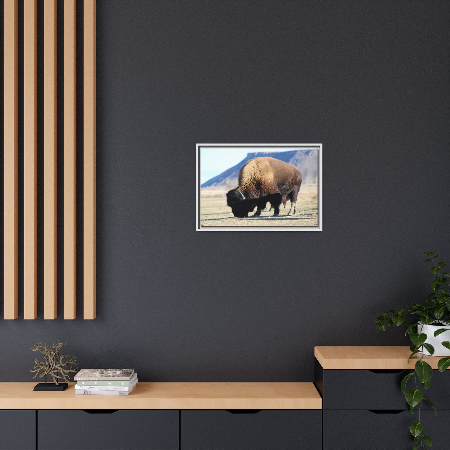 Big Daddy Buffalo Framed Canvas
