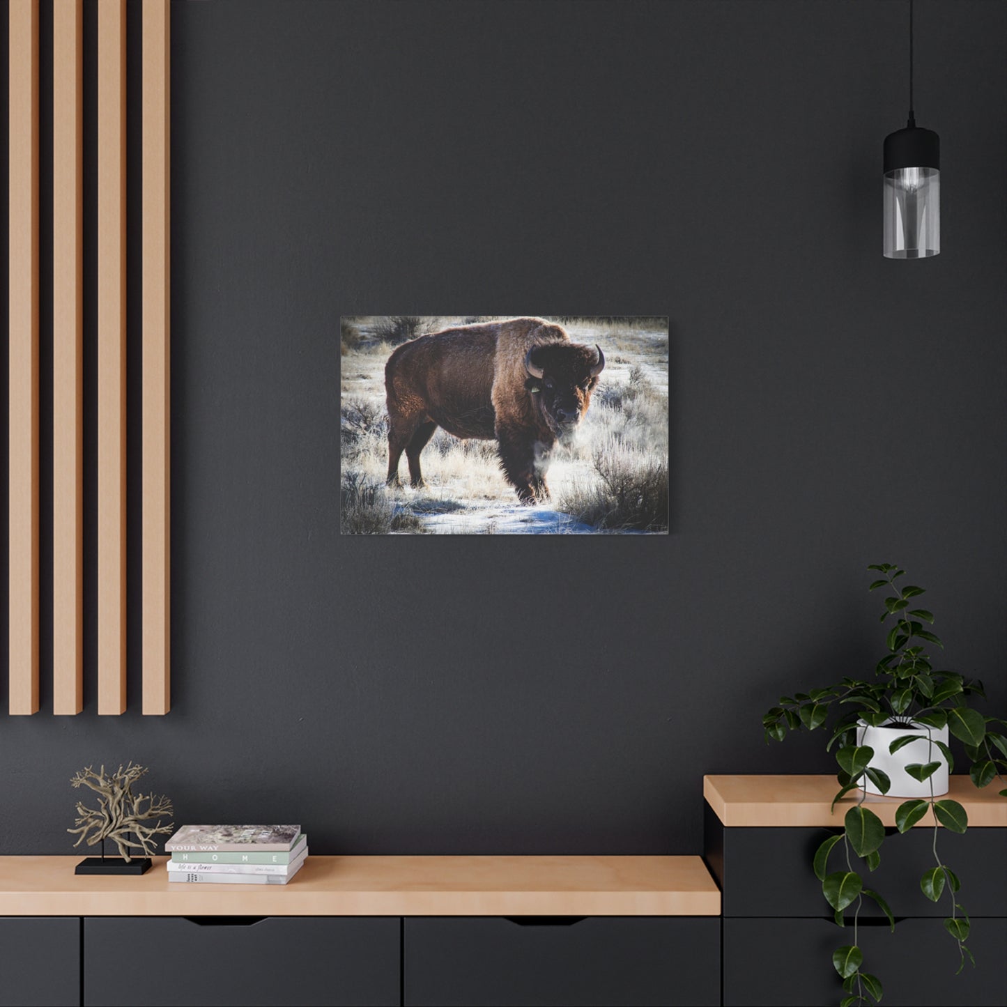 Early Morning Buffalo Canvas