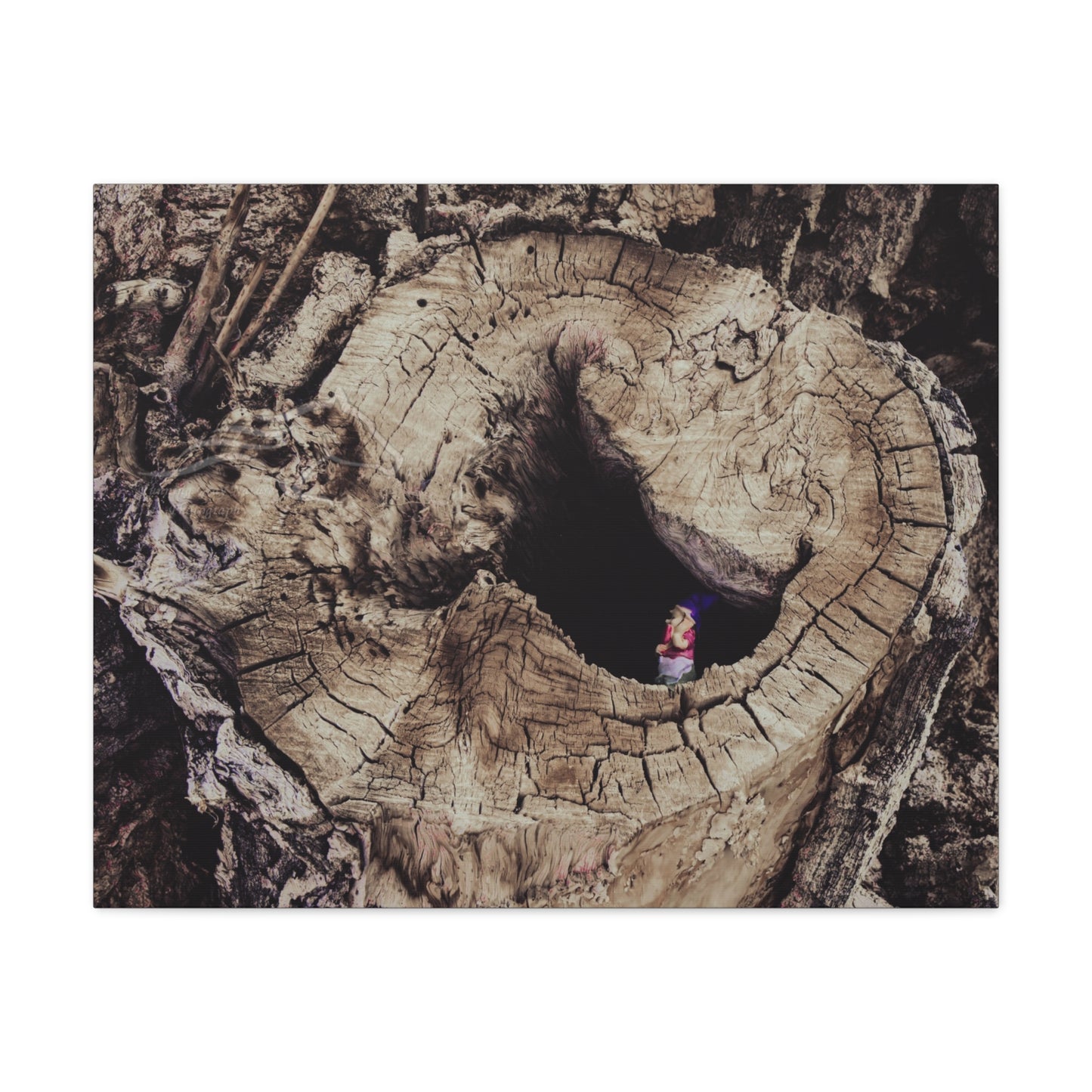 Fairy in a Tree Canvas