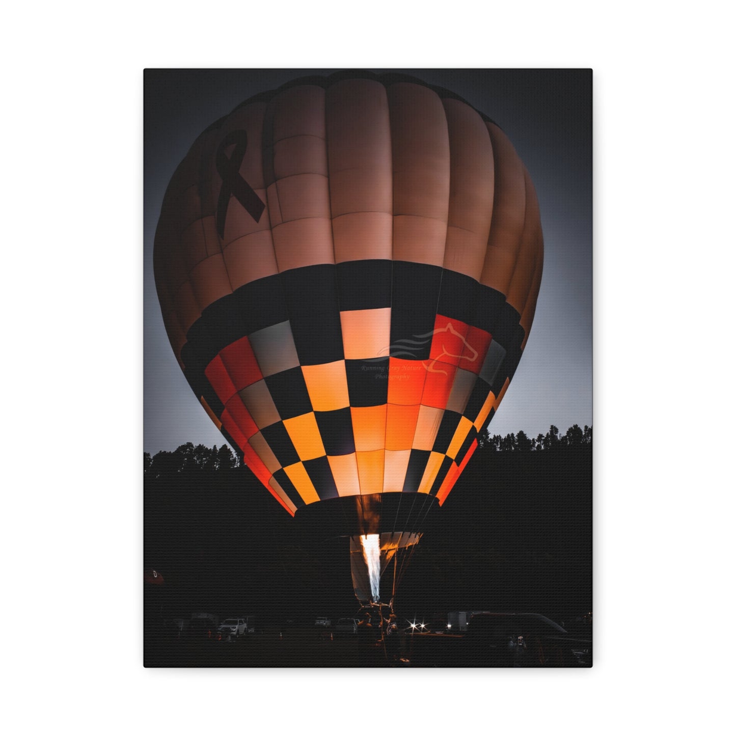 Hot Air Balloon Canvas