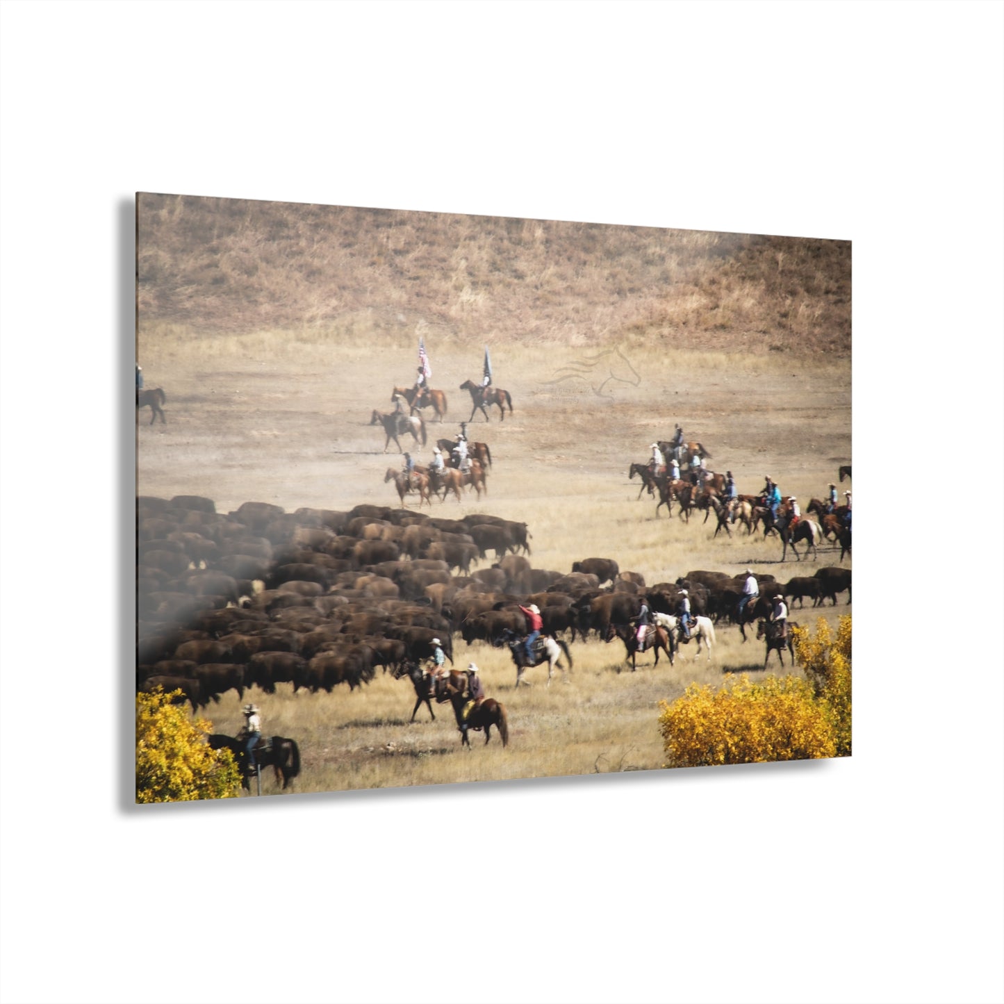 Cowboys and Buffalo Acrylic