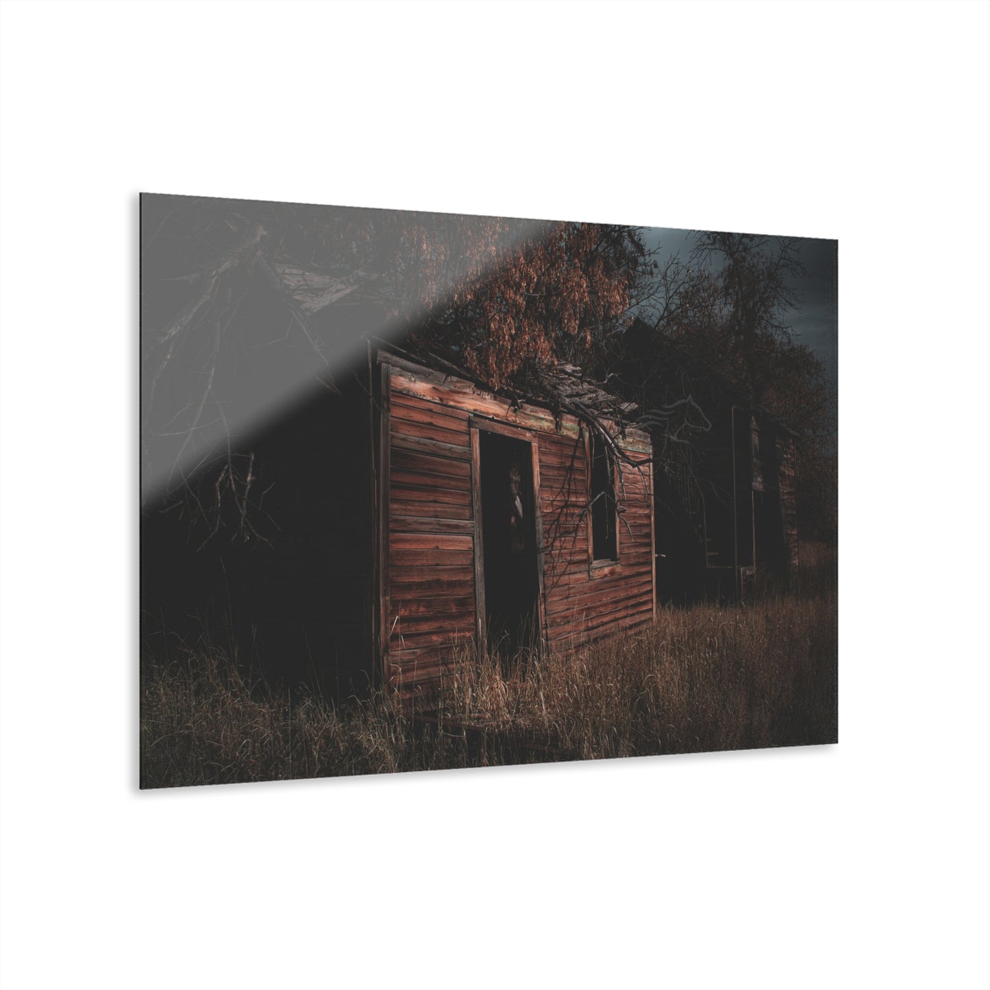 Haunting Rustic Acrylic
