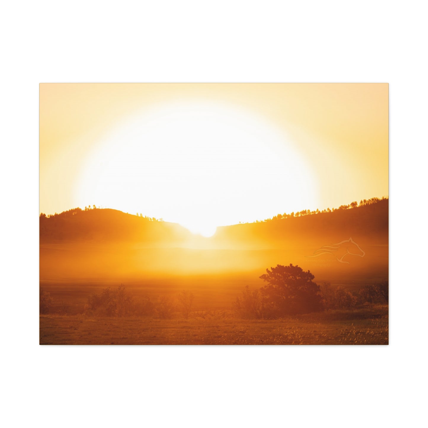 Buffalo Round Up Sunrise Canvas