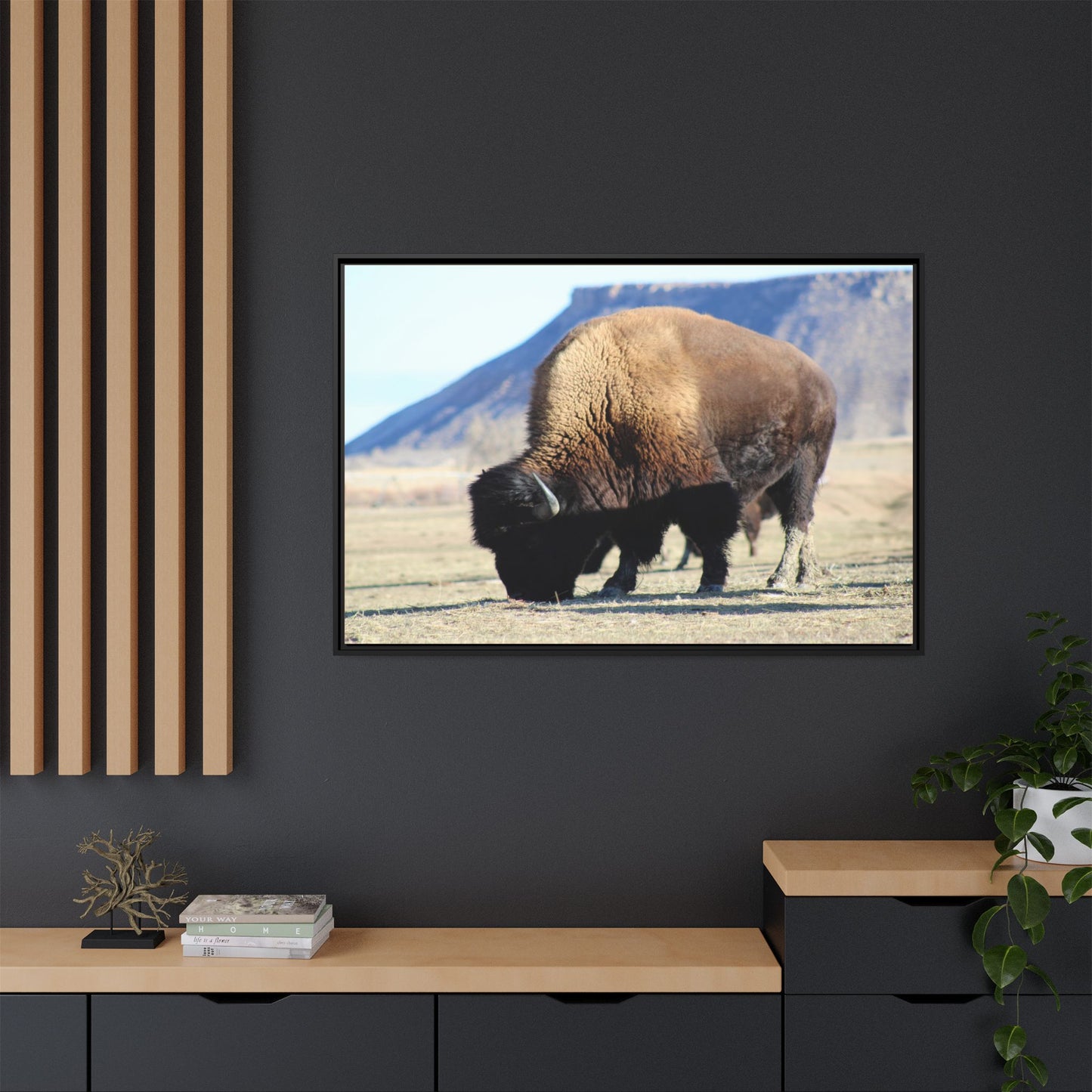 Big Daddy Buffalo Framed Canvas