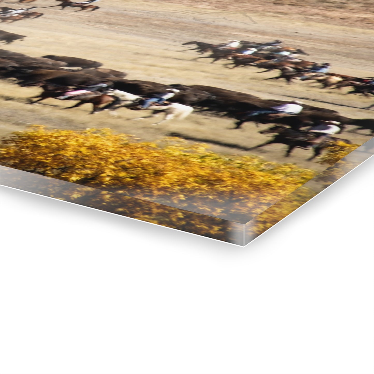 Cowboys and Buffalo Acrylic