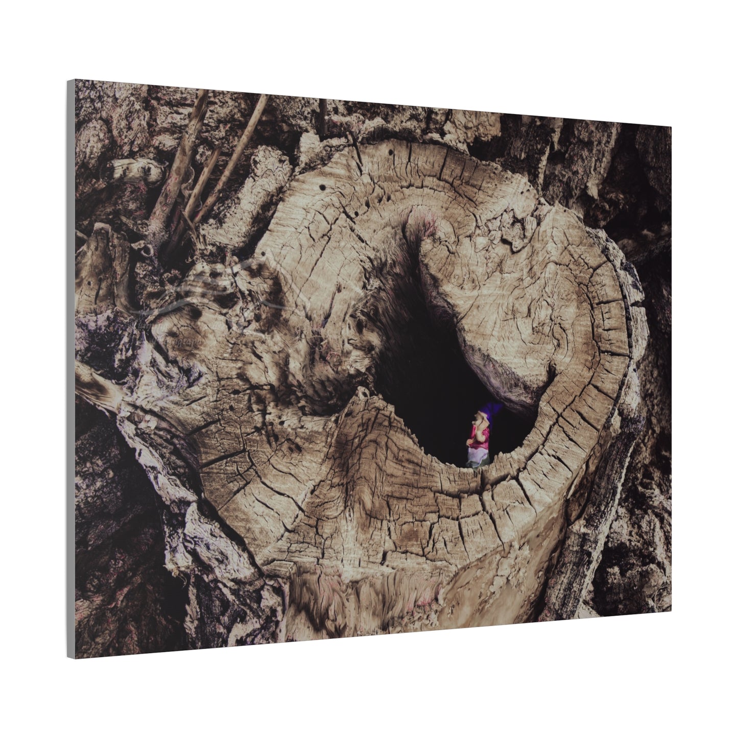 Fairy in a Tree Canvas