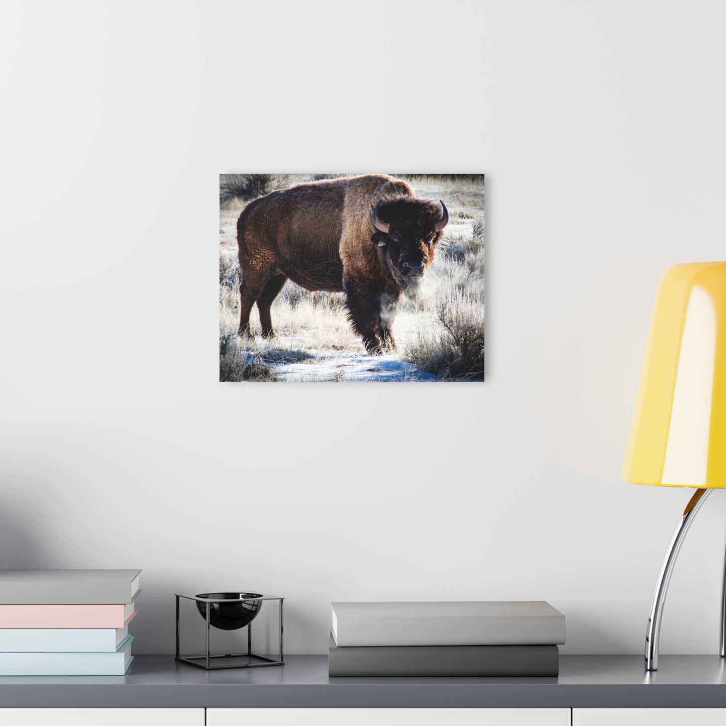 Early Morning Buffalo Acrylic