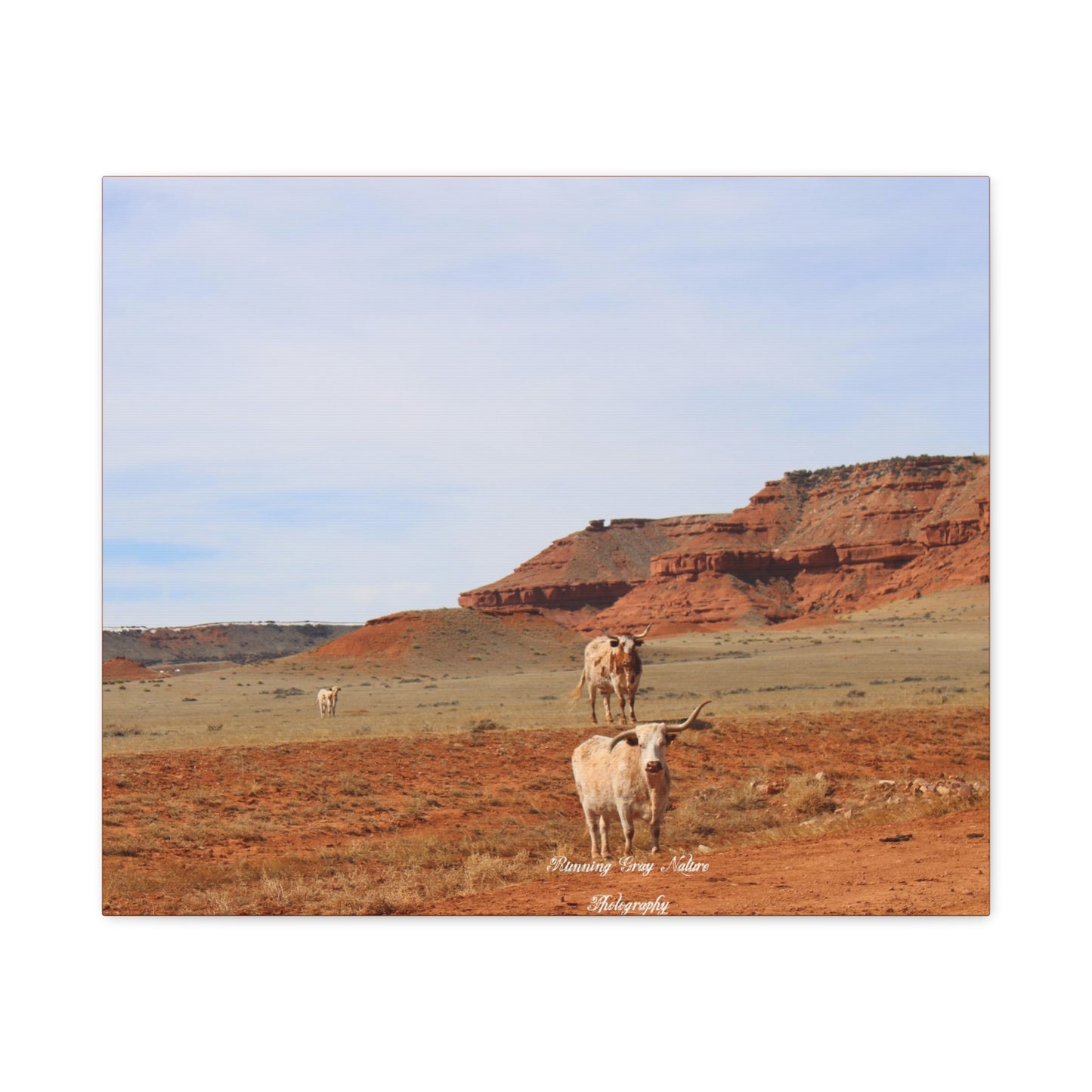 Mismatch Long Horn Hole in the Wall, WY Matte Canvas, Stretched, 1.25"