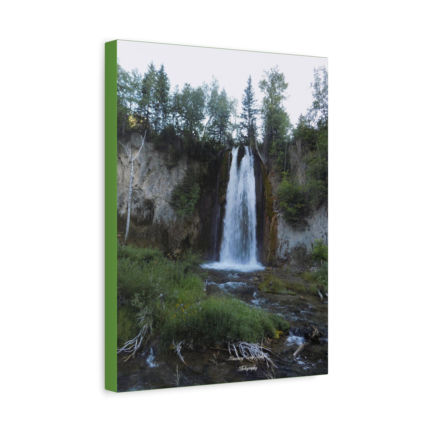 Spearfish Canyon Waterfall Matte Canvas, Stretched, 1.25"