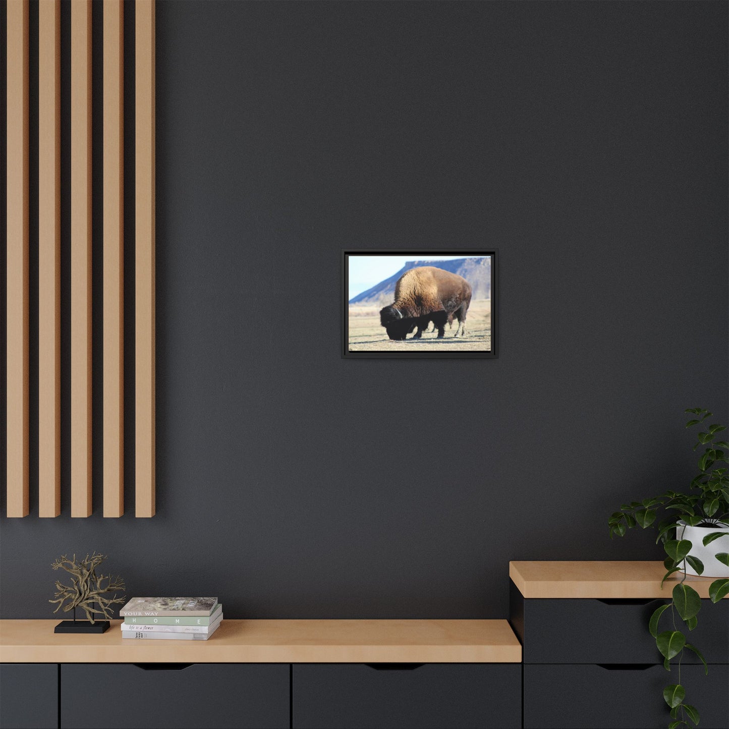 Big Daddy Buffalo Framed Canvas
