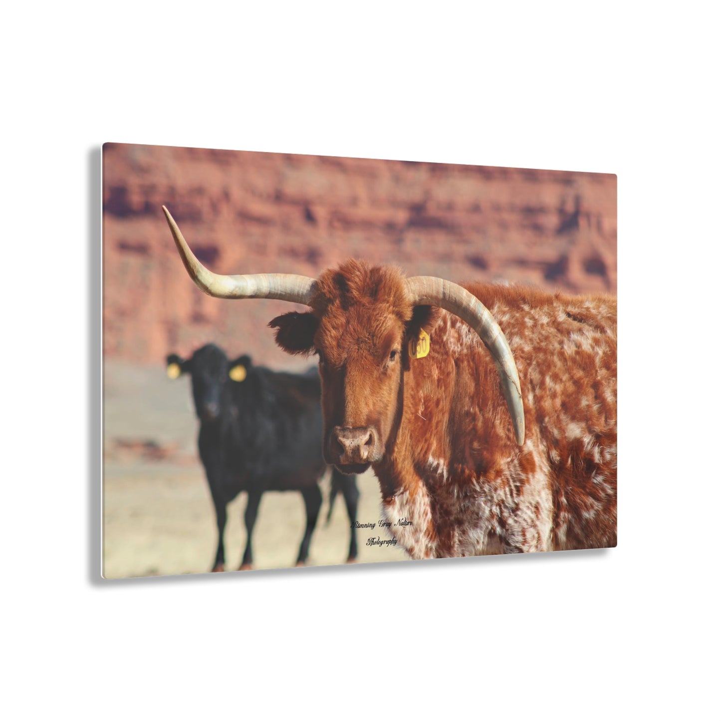 Mismatch Long Horn Acrylic Prints