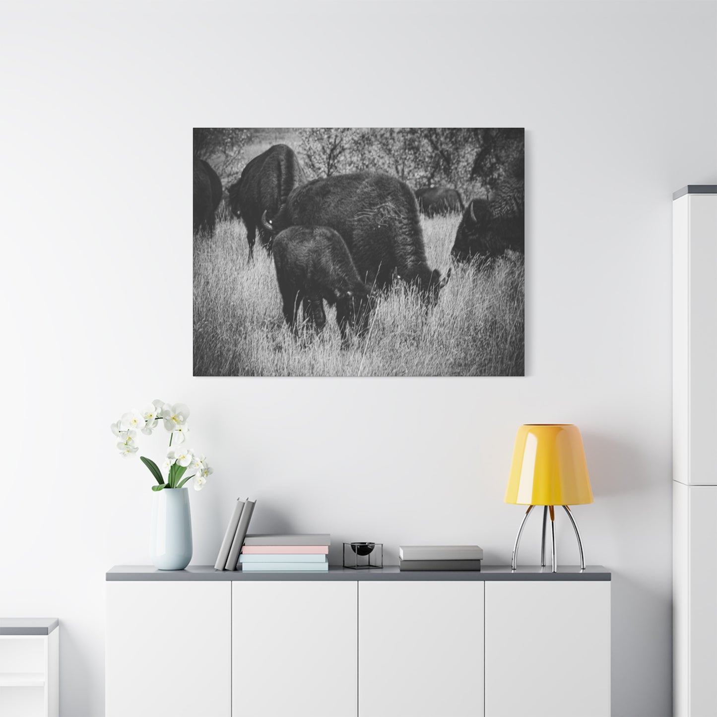 Black and White Buffalo Canvas