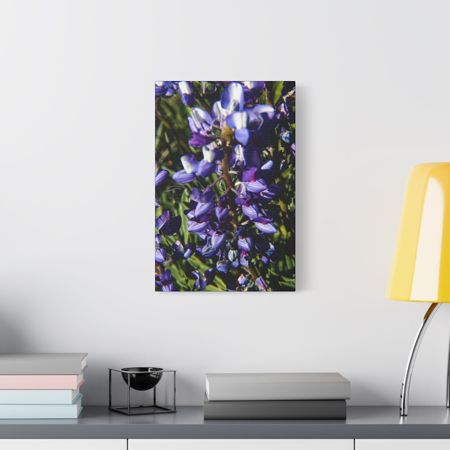 Arctic Lupine Canvas