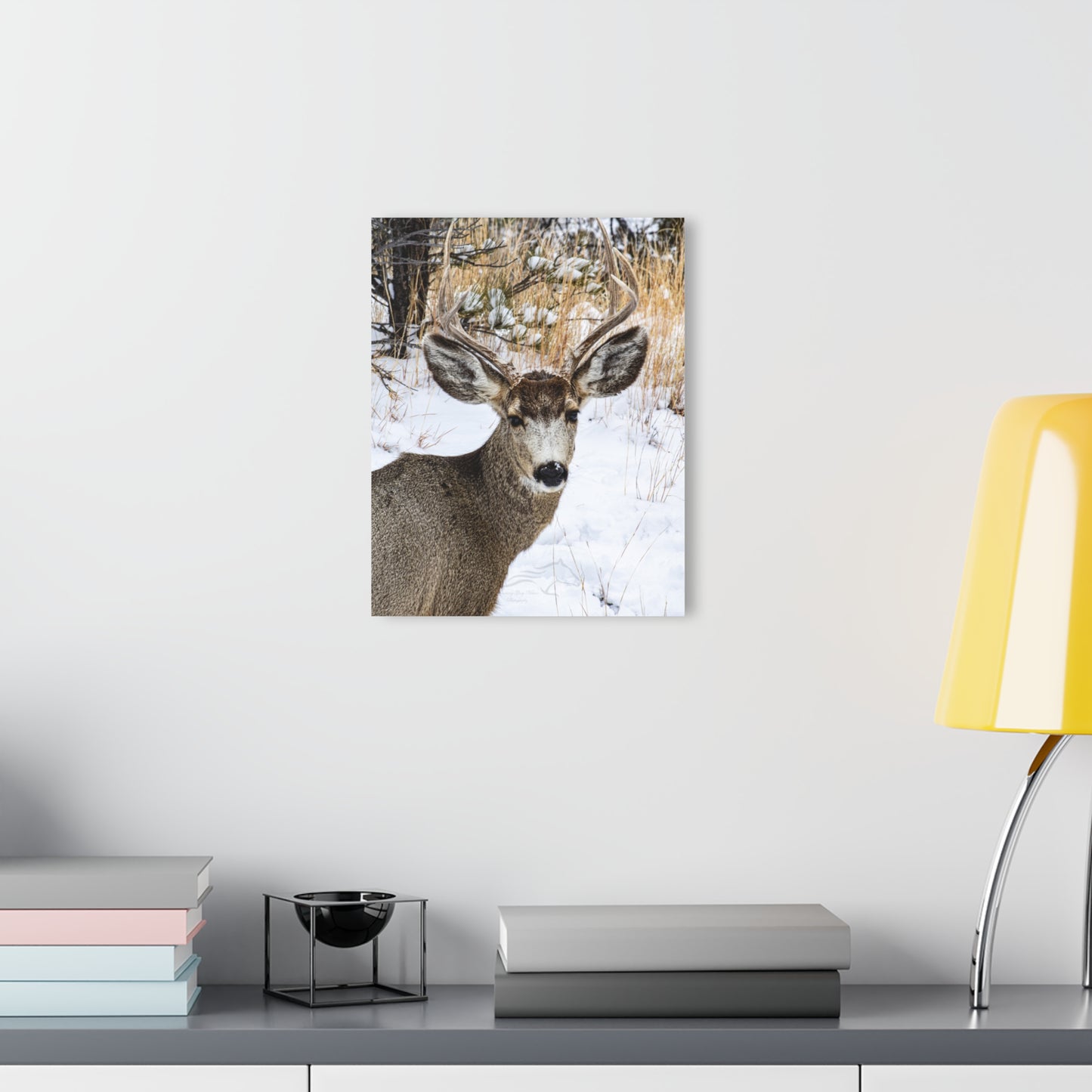 Deer Antlers in February Acrylic