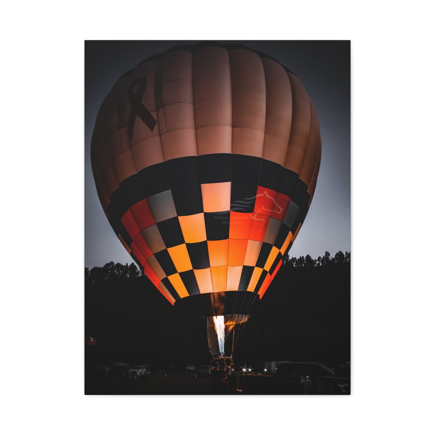 Hot Air Balloon Canvas