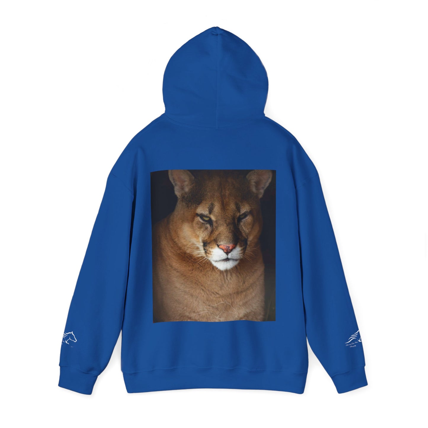 Big Cat Hoodie