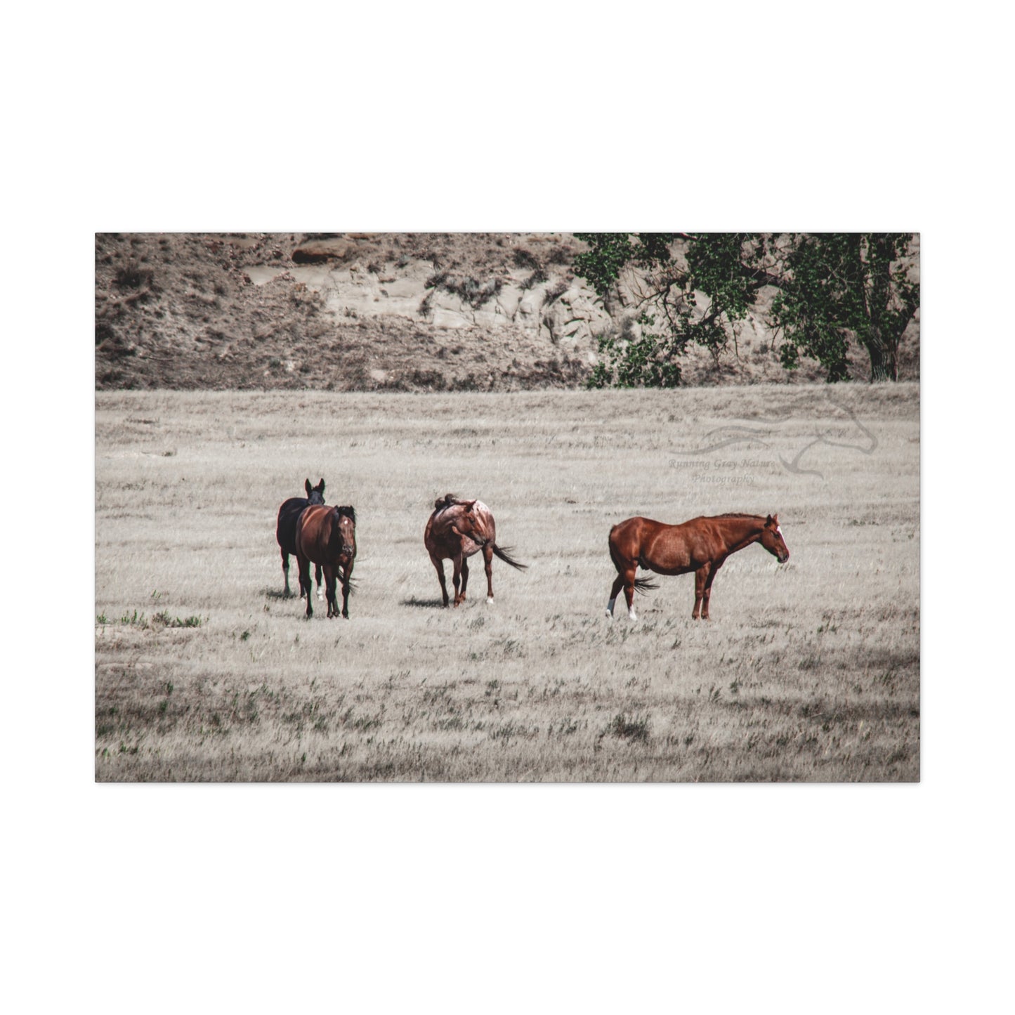 Not everything is Black and White