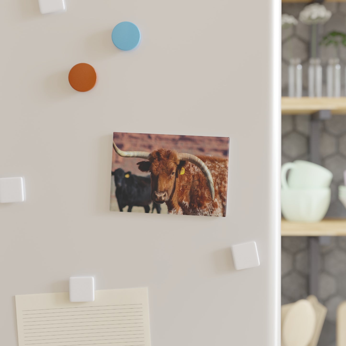 Mismatch Longhorn Magnet