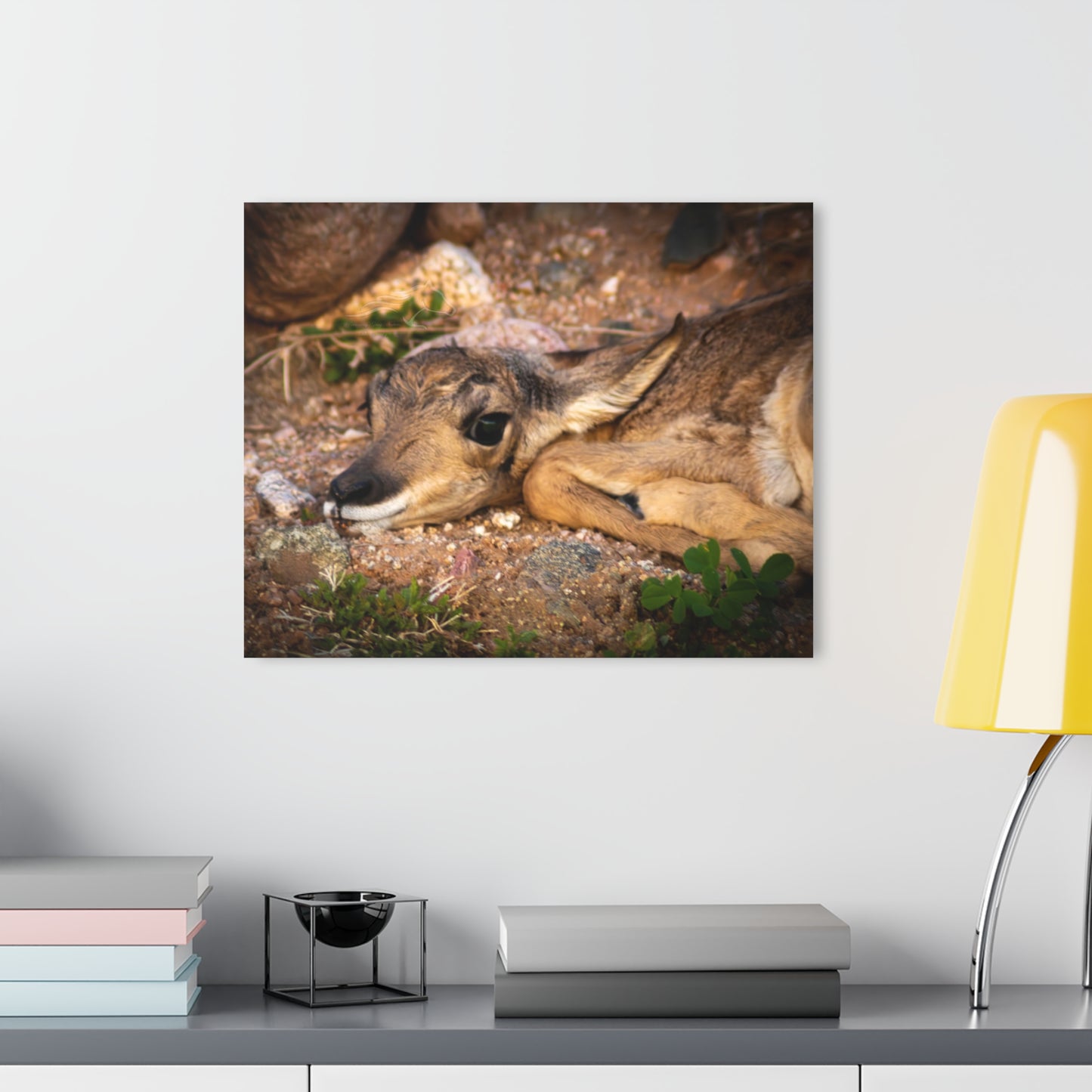 Baby Antelope Acrylic