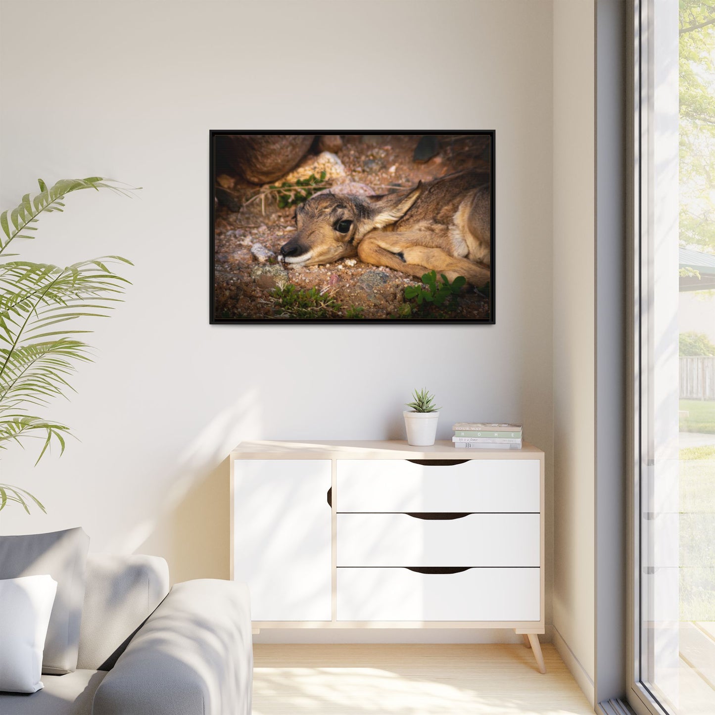 Baby Antelope Framed Canvas