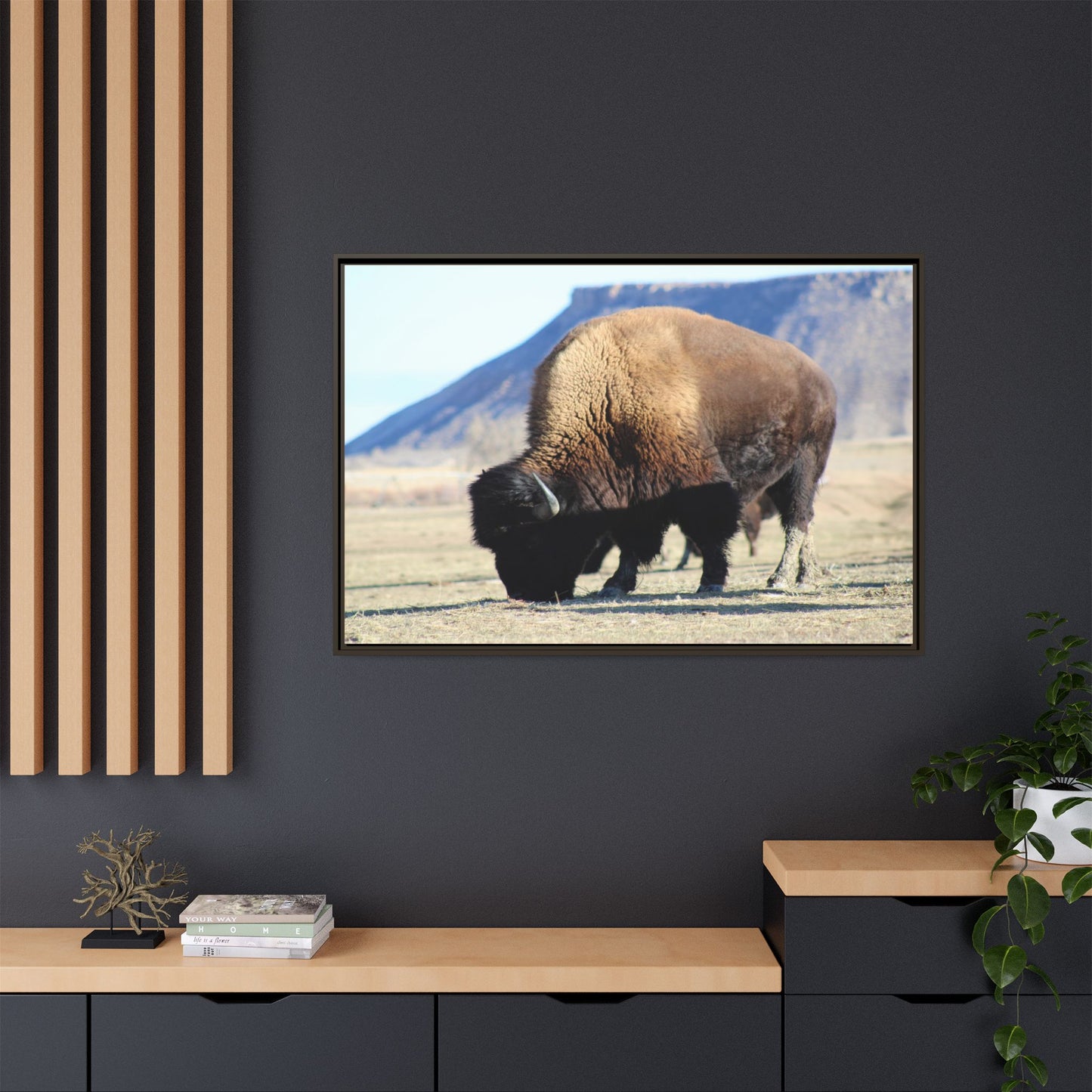 Big Daddy Buffalo Framed Canvas