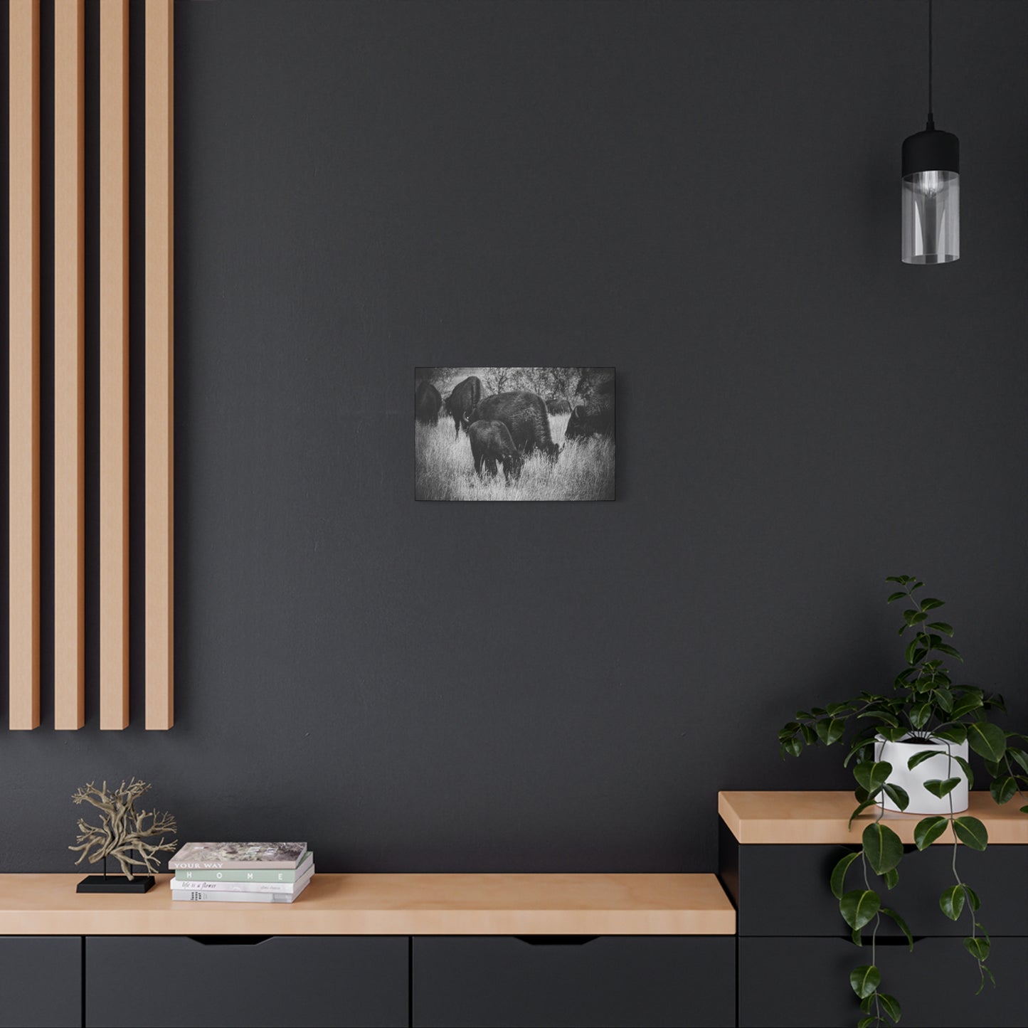 Black and White Buffalo Canvas