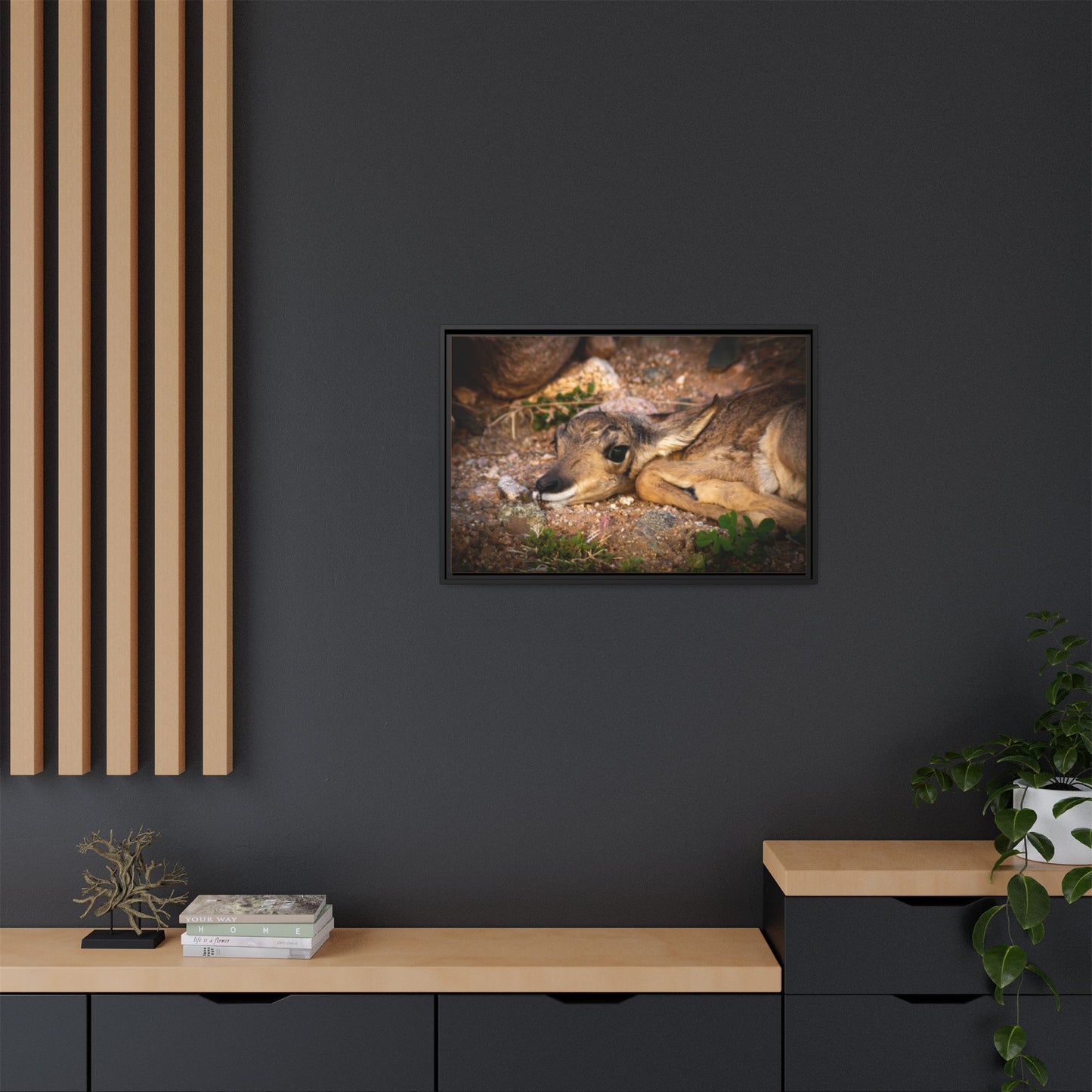 Baby Antelope Framed Canvas