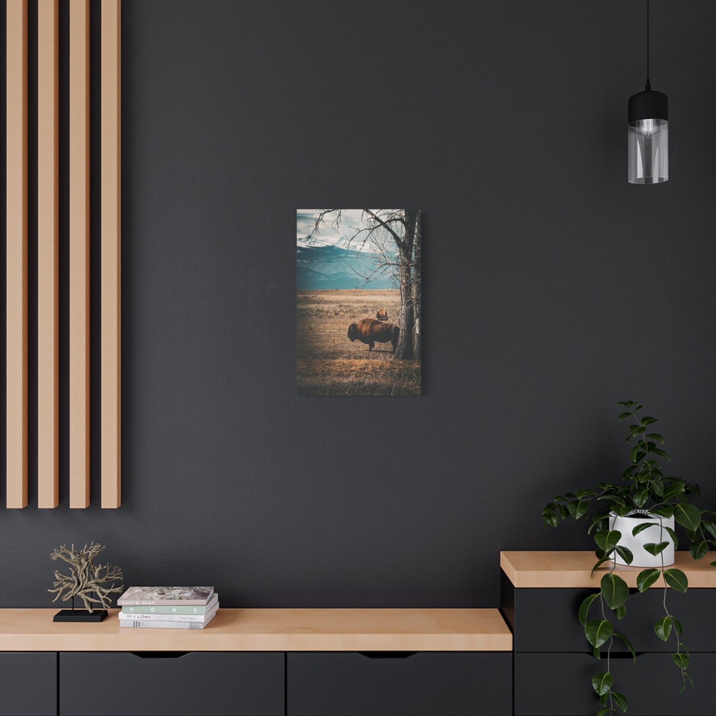 Rustic Bison Mountain Canvas