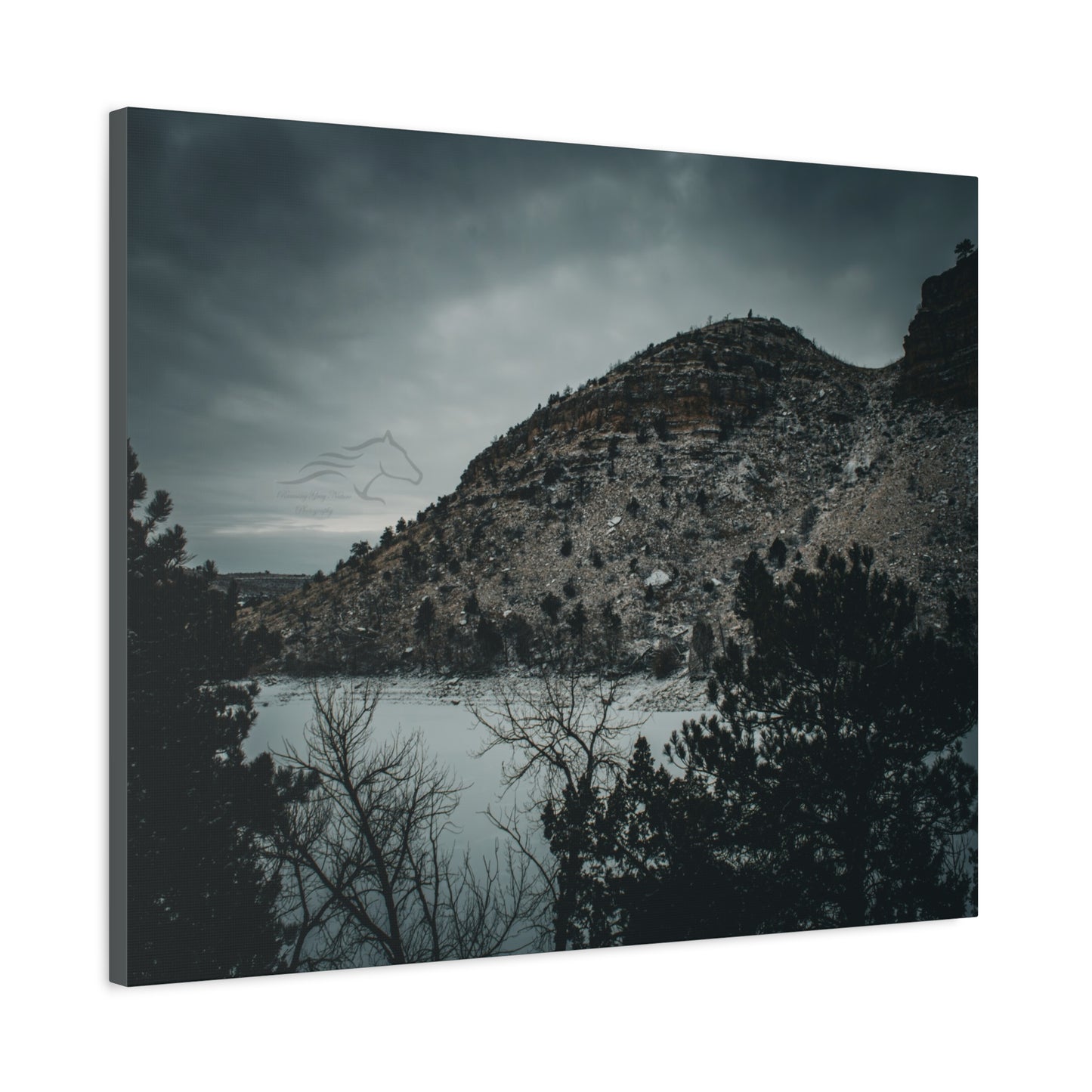 Moody Landscape Canvas