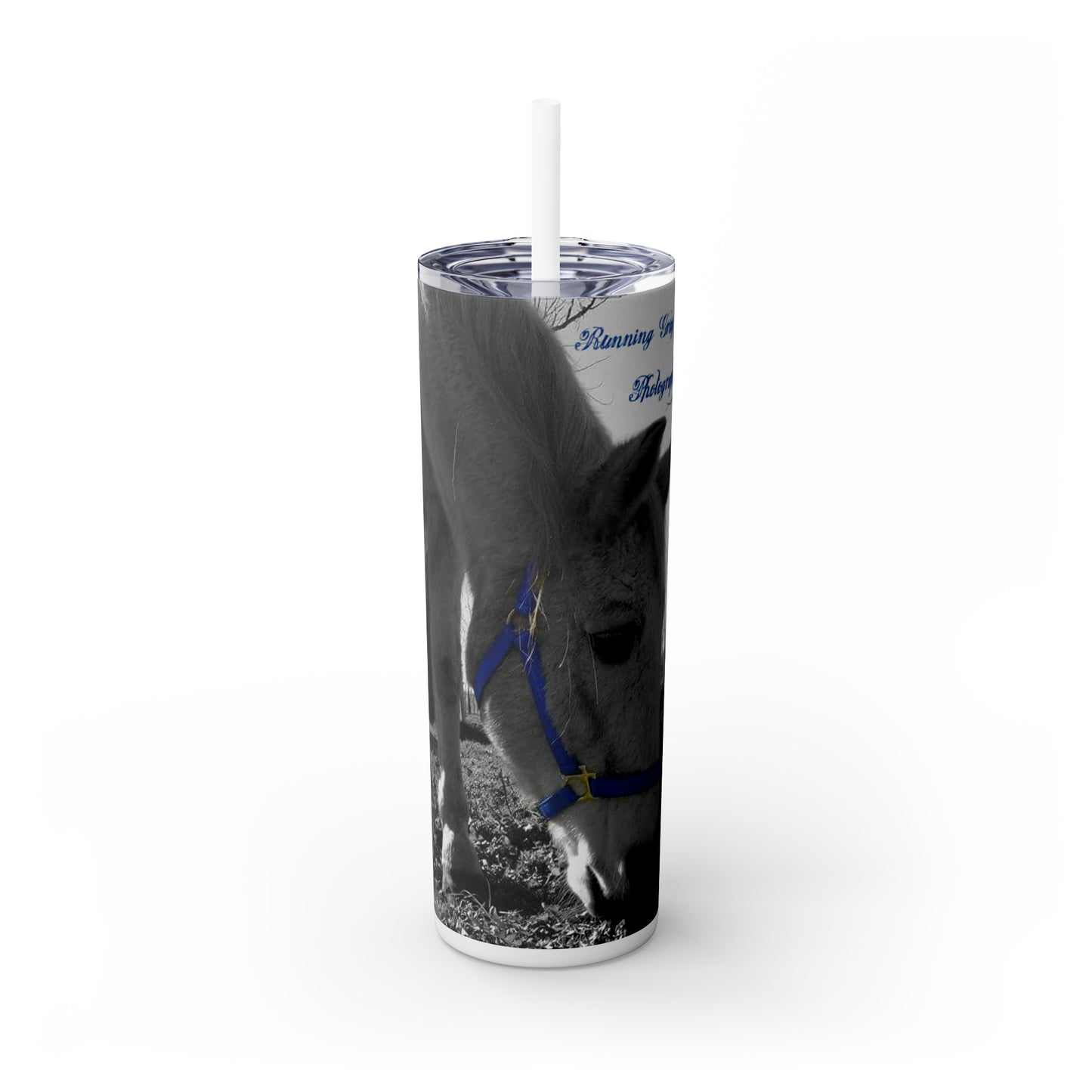 Running Gray Nature Photography Merch Skinny Tumbler with Straw, 20oz