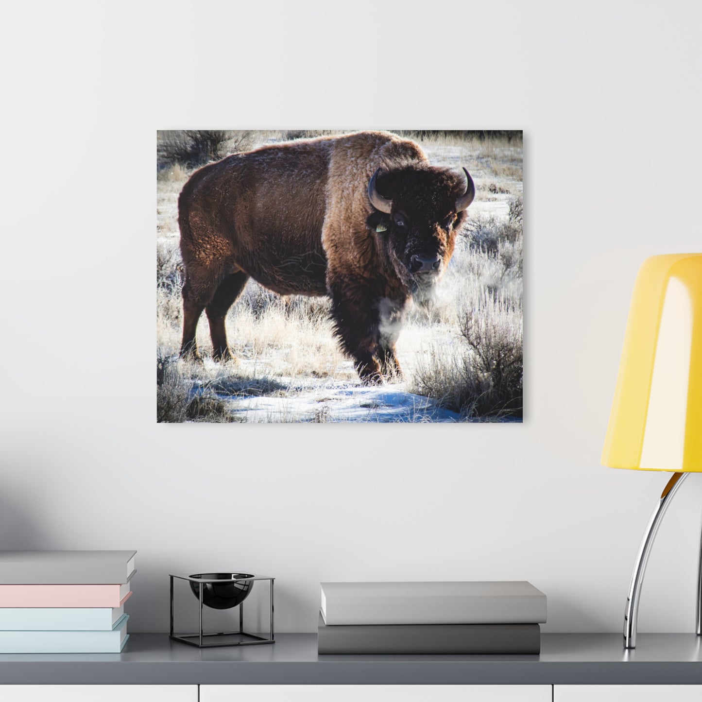 Early Morning Buffalo Acrylic