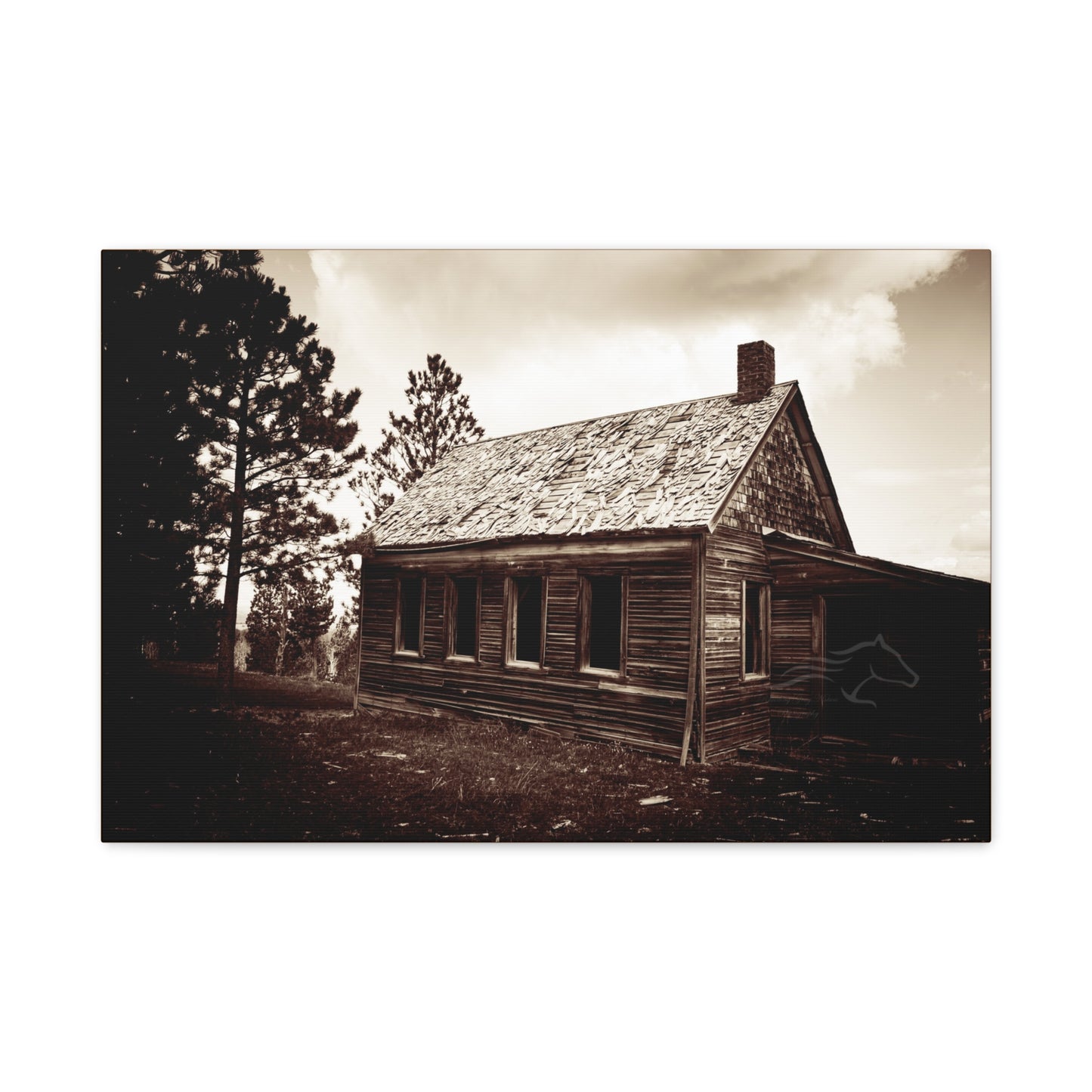 Rustic Bunk House Canvas