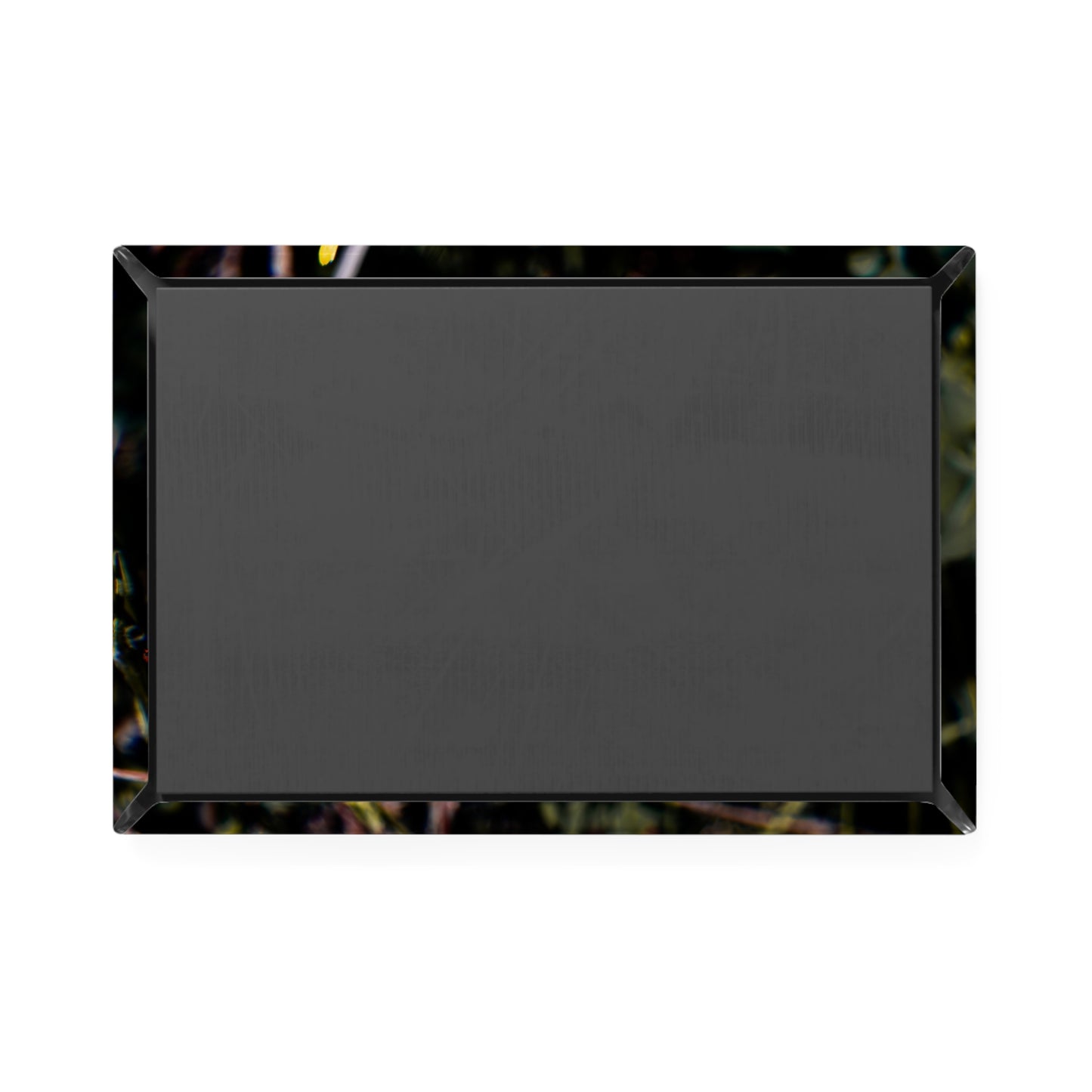 Butterfly Bloom Magnet