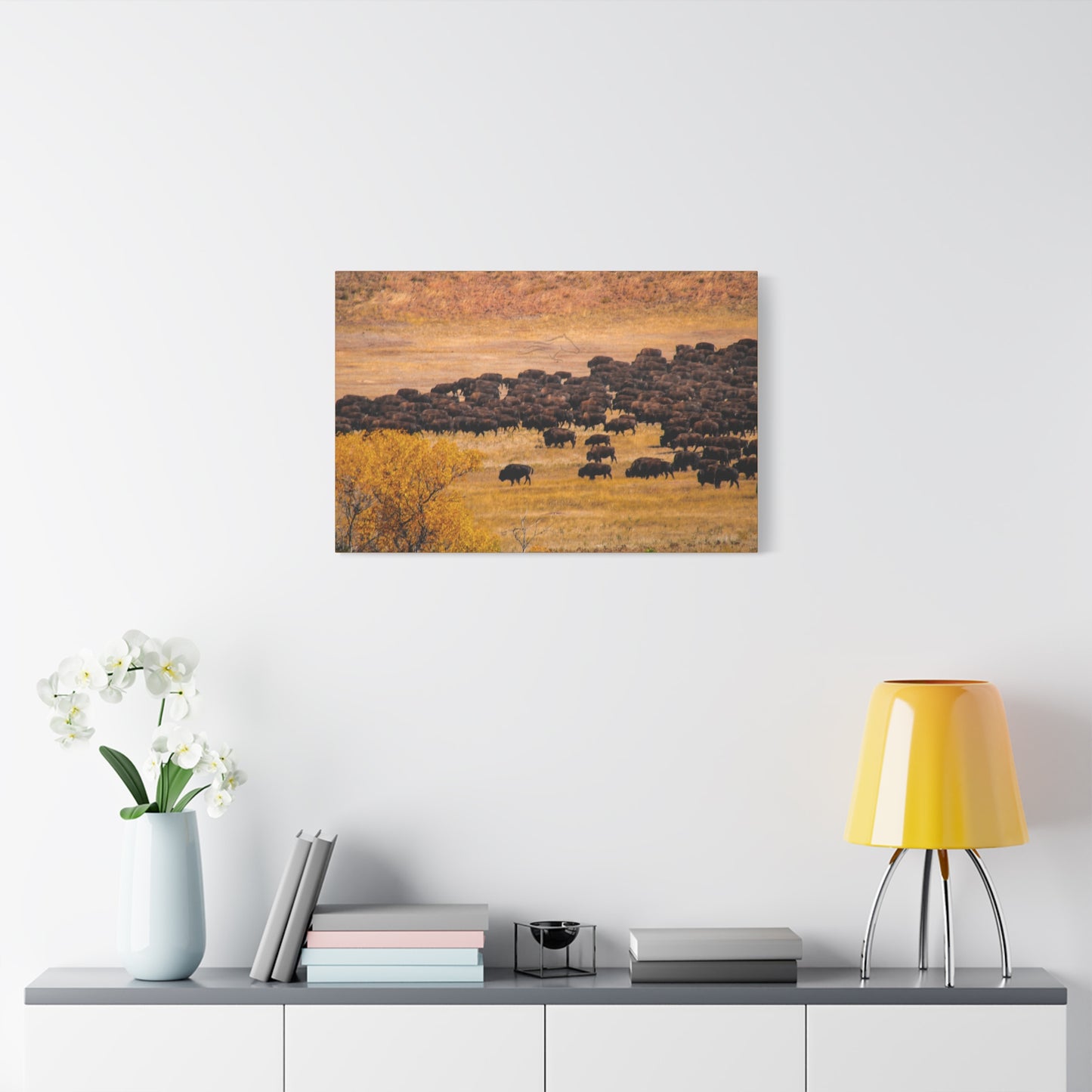 Buffalo all Gathered Canvas
