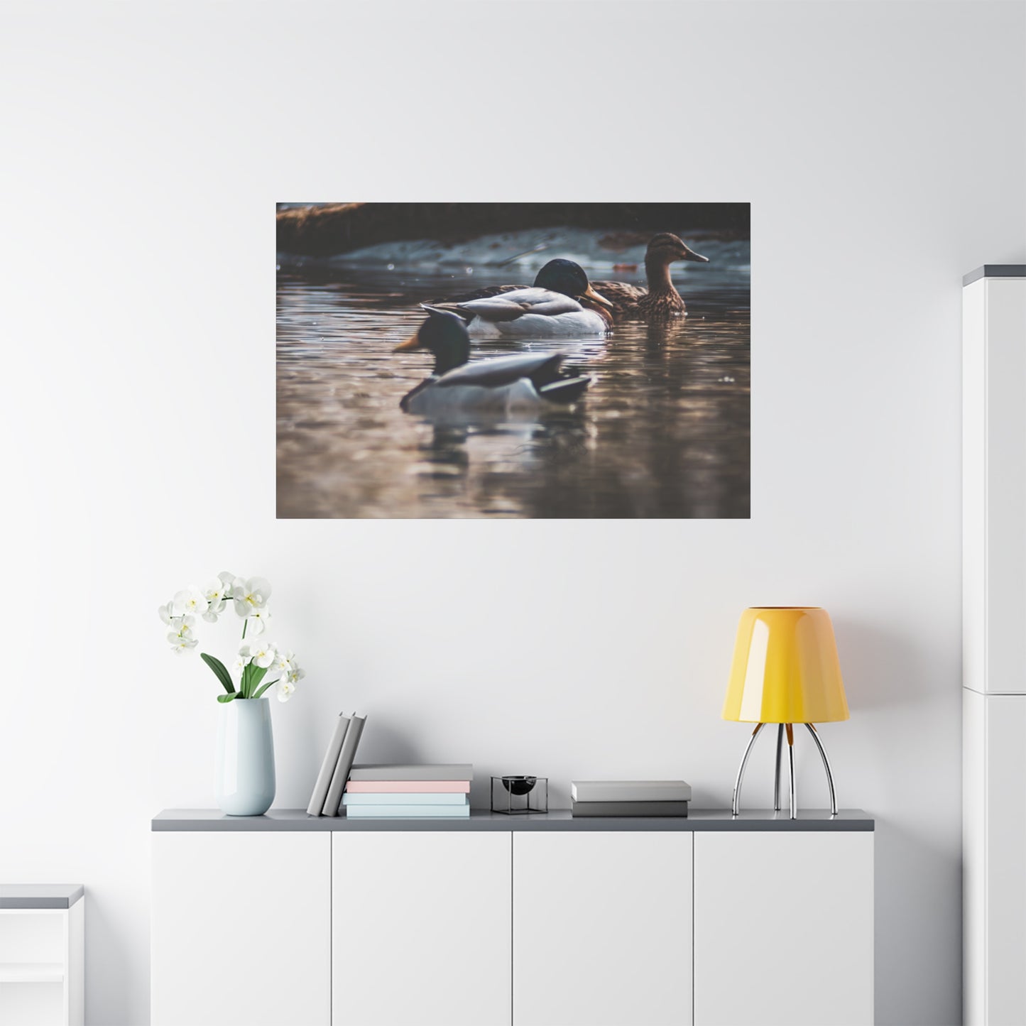 Mallard Ducks Canvas