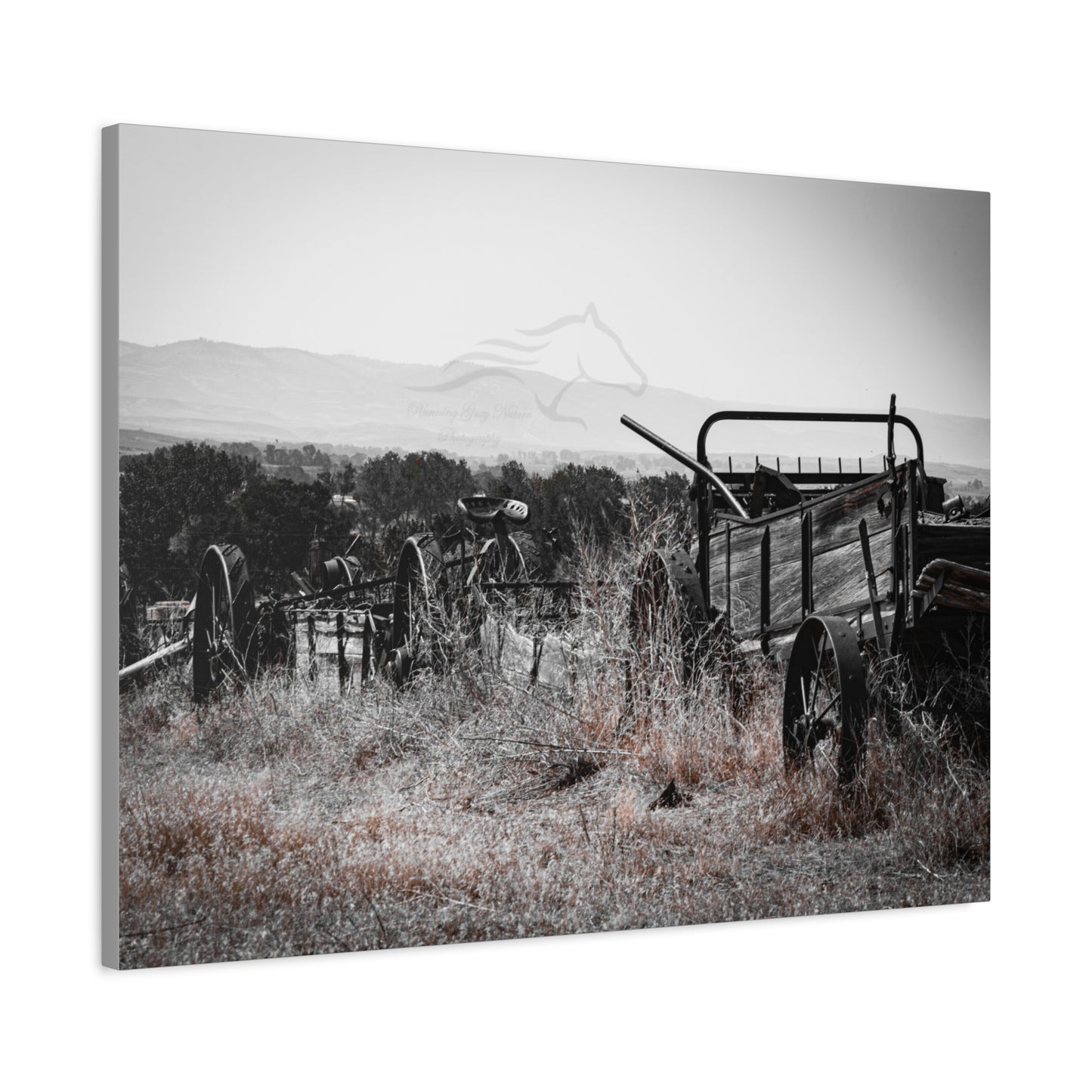 Rustic Black and White Wagon Canvas