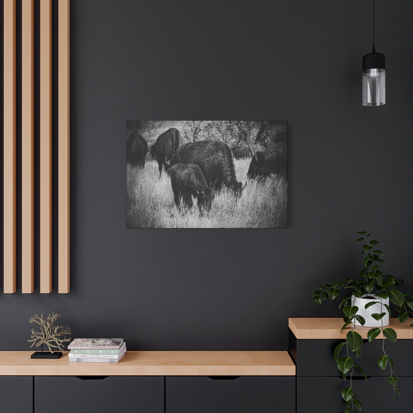 Black and White Buffalo Canvas