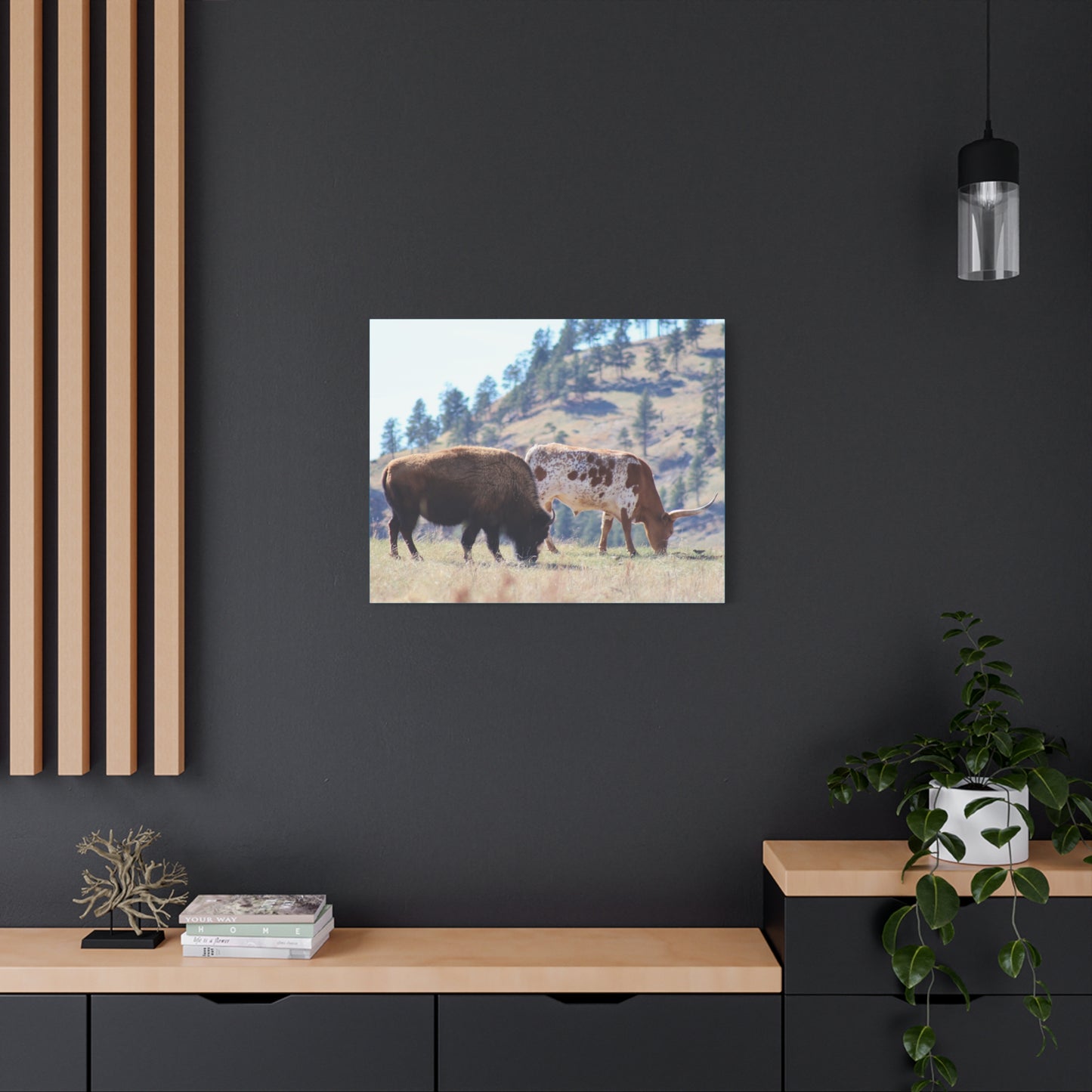 Long Horn and Buffalo Canvas