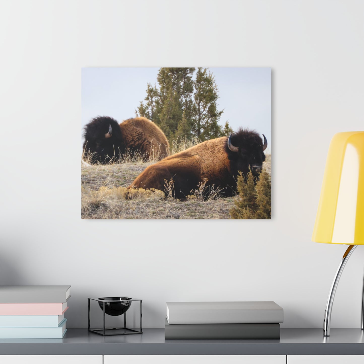 Two Bull Buffalo Acrylic