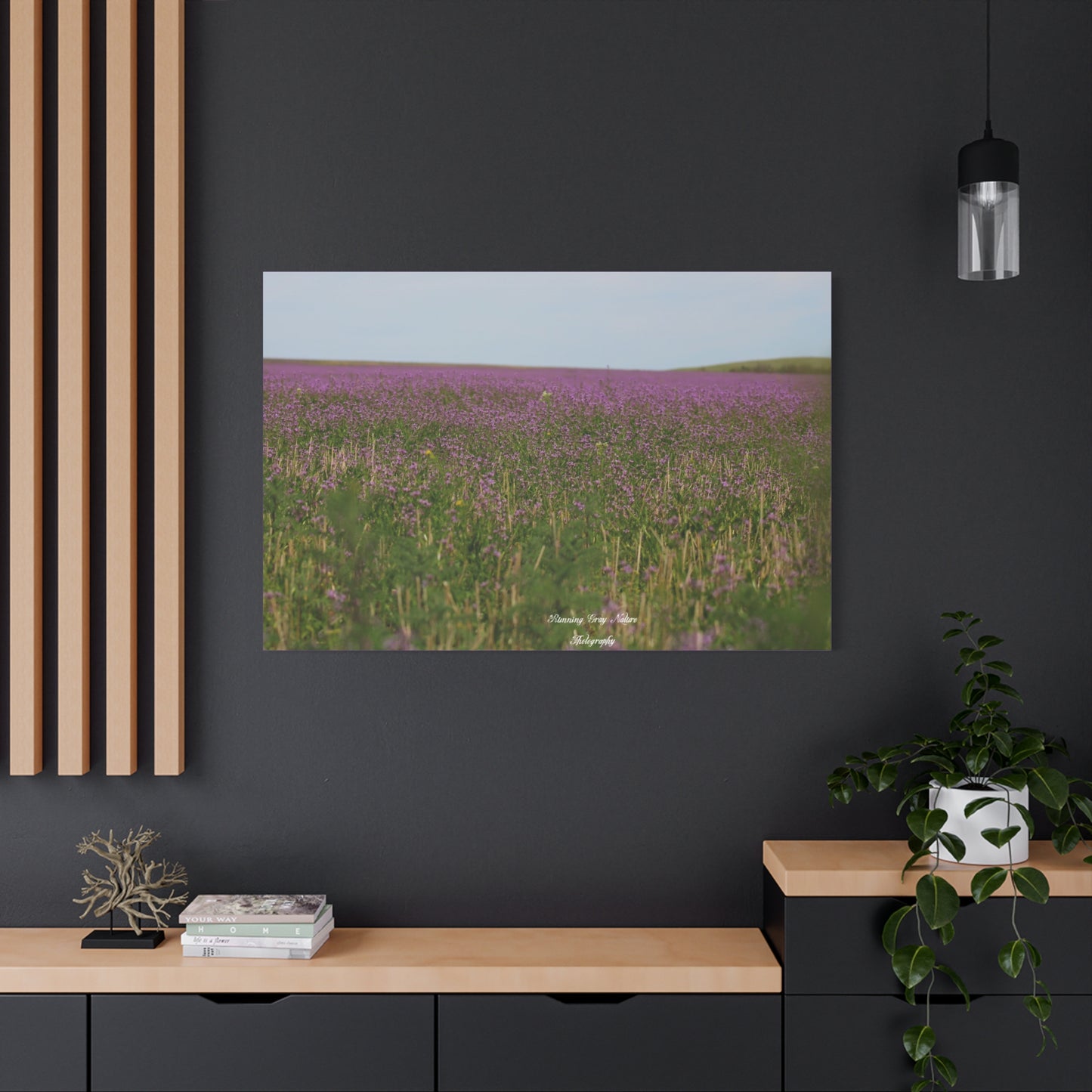 Purple Dead Nettle Field Matte Canvas, Stretched, 1.25"