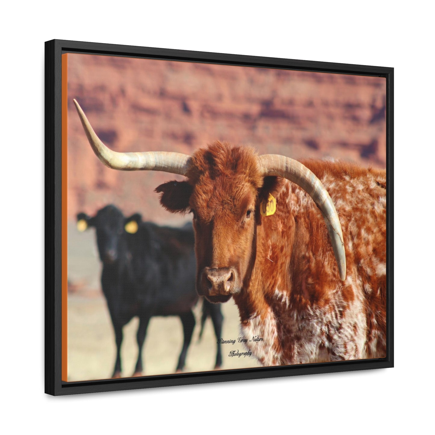 Mismatch Long Horn Gallery Canvas Wraps, Horizontal Frame