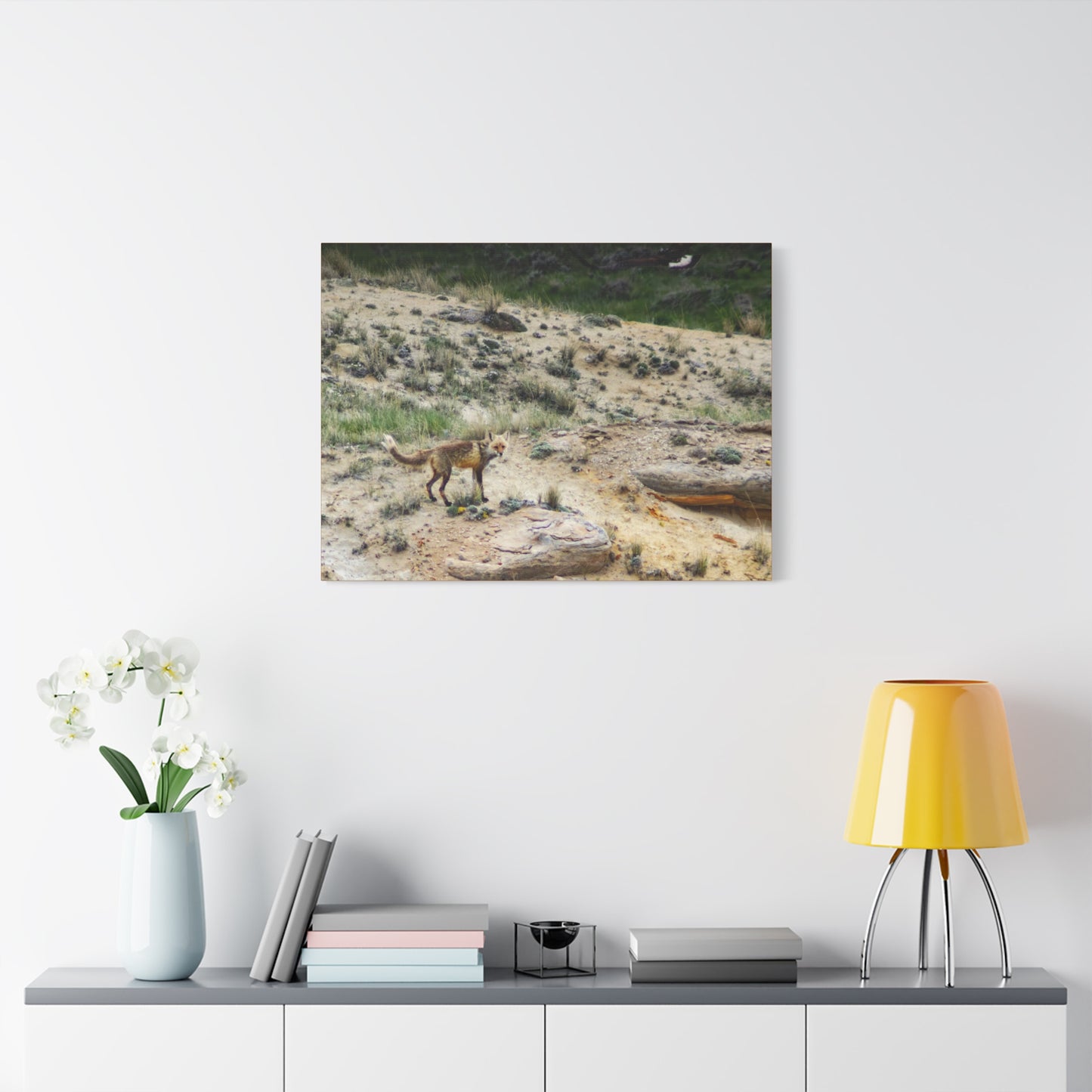 Swift fox and an Eagle