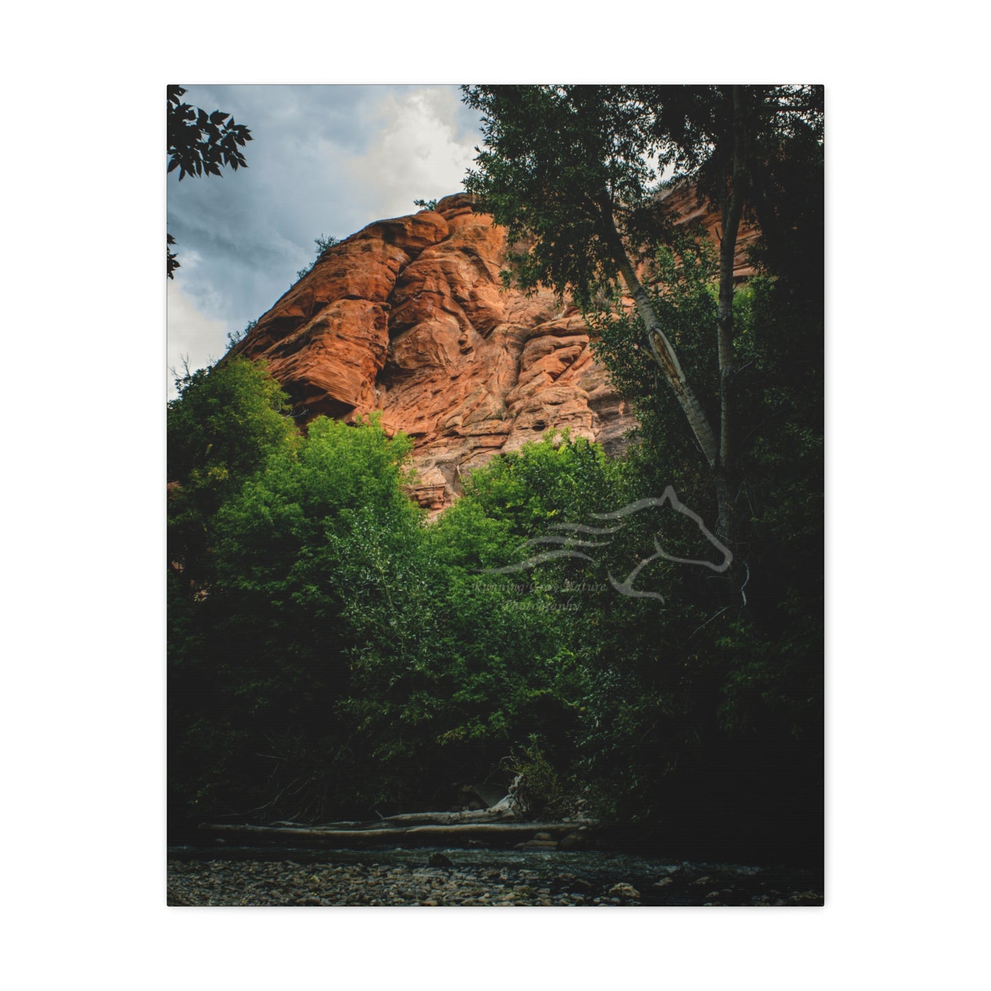 Red Rock Near Ayres Natural Bridge Canvas