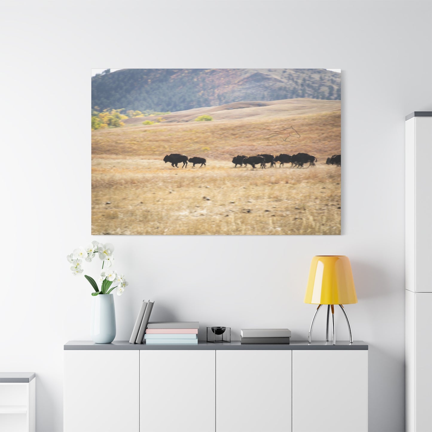 Beginning Buffalo Herd Canvas