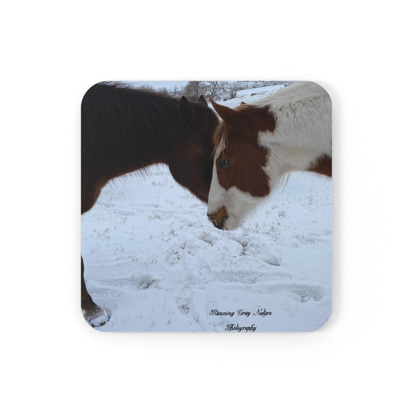 Painted Horse Coaster